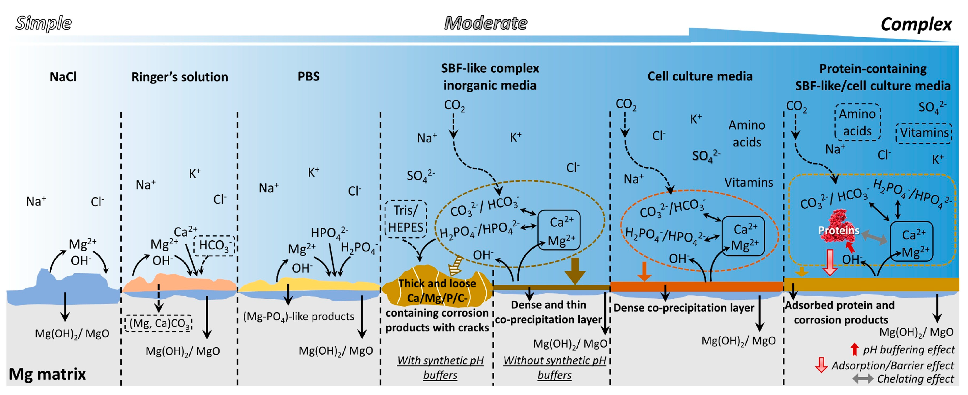 Materials 17 00068 g005