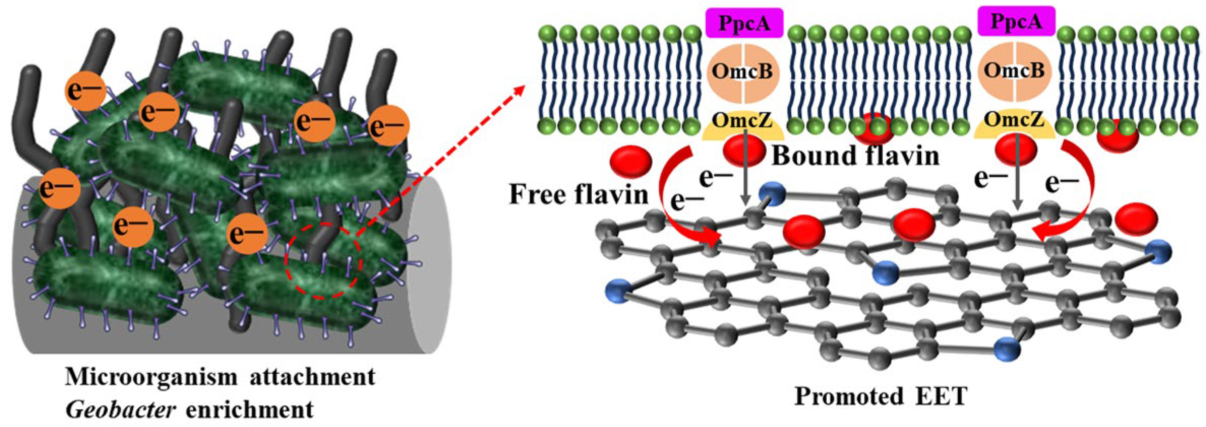 Materials 17 00069 g012