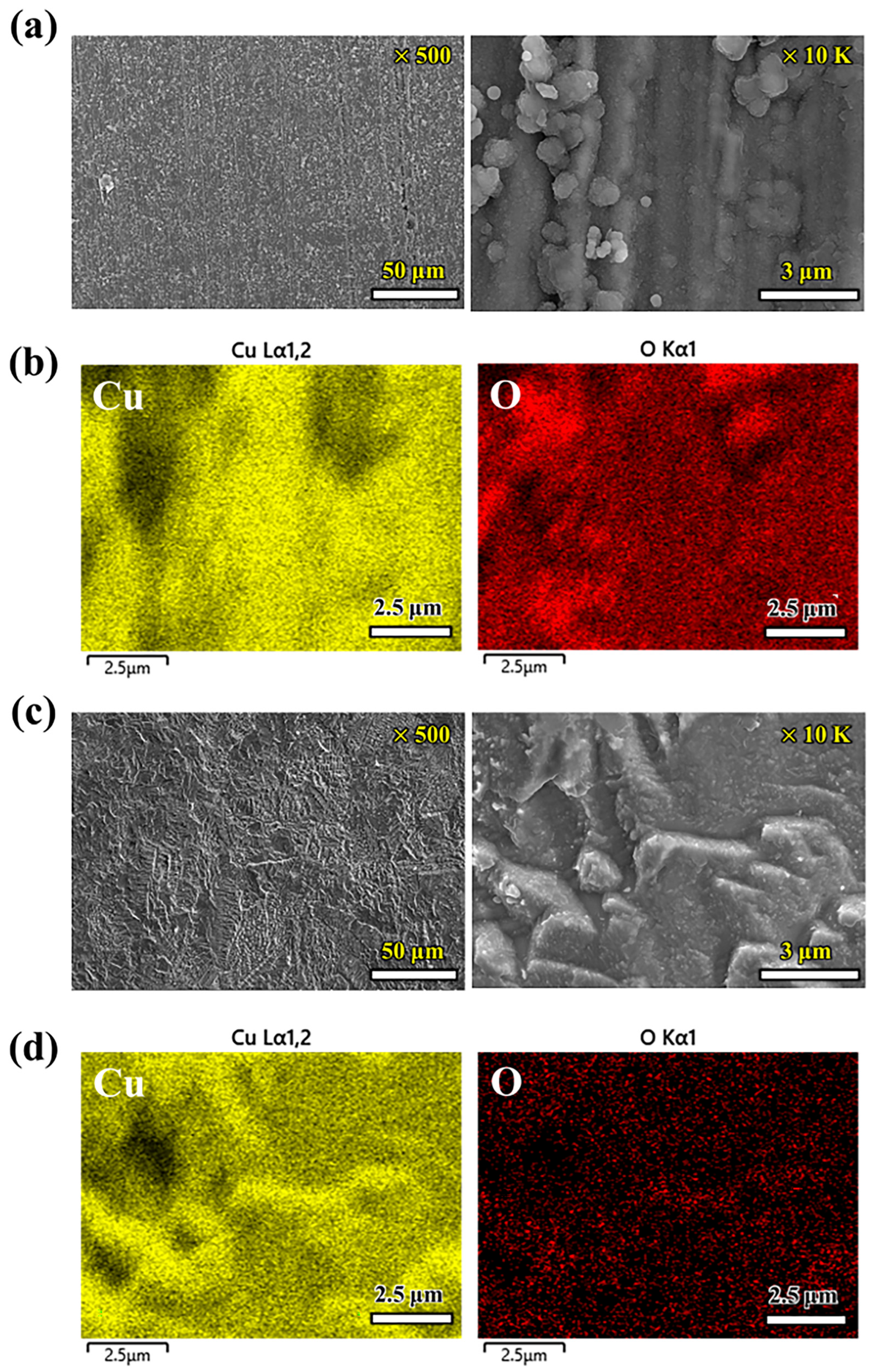 Materials 17 00074 g004