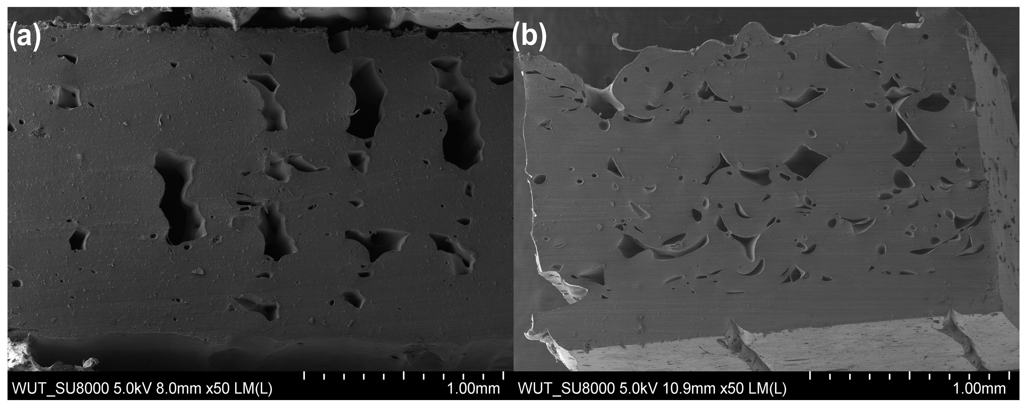 Materials 17 00090 g011