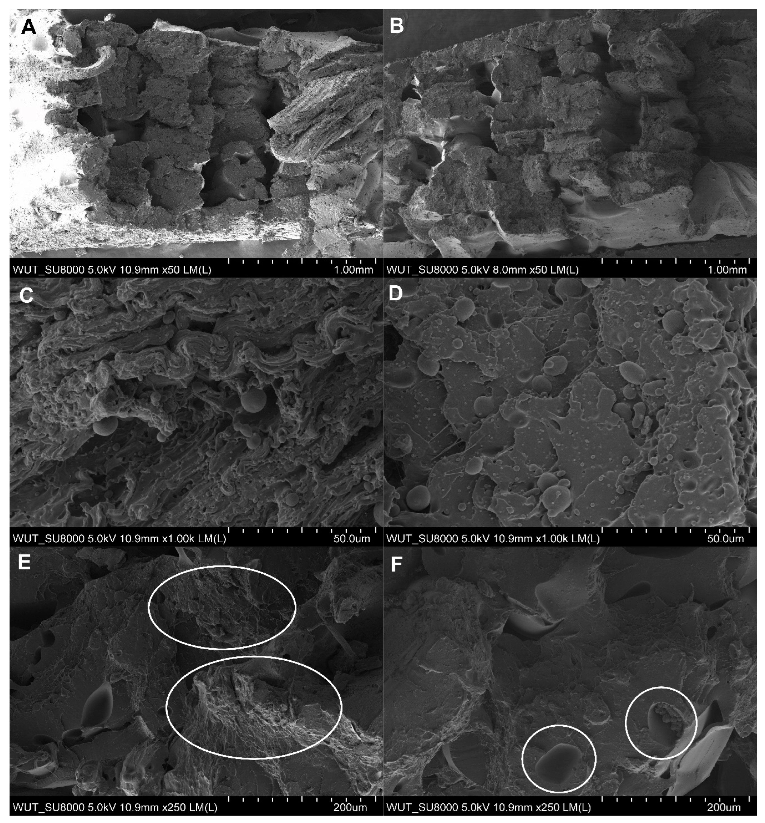 Materials 17 00090 g012