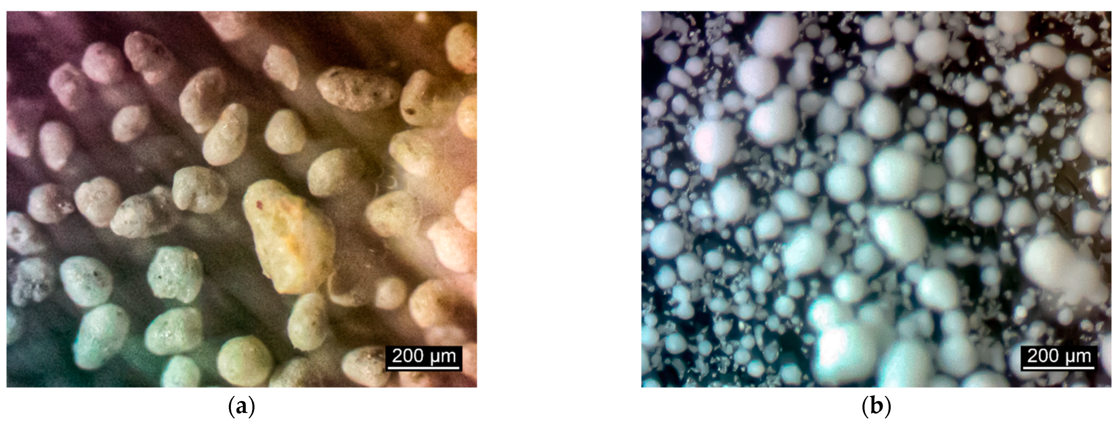 Materials 17 00105 g004