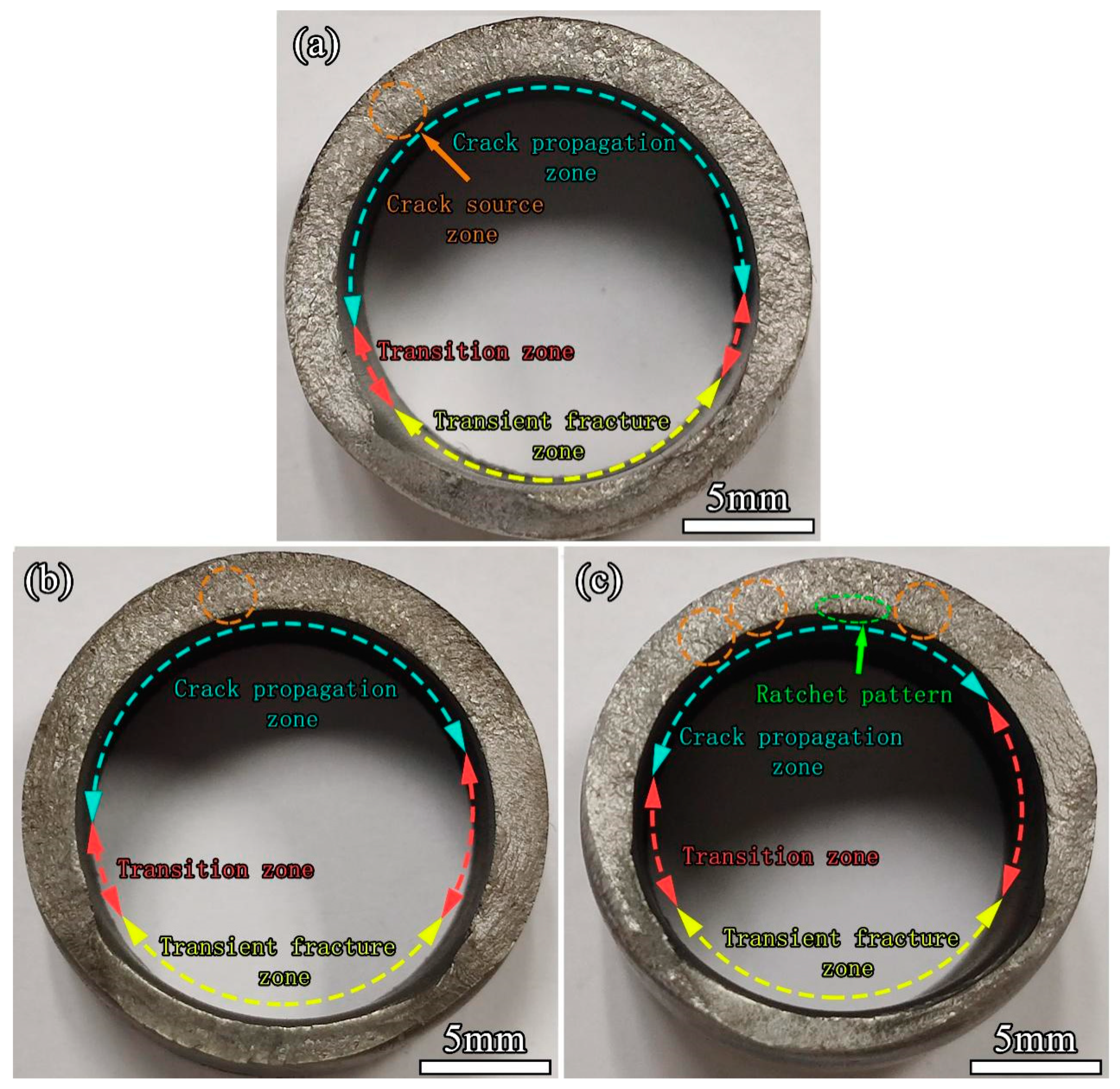 Materials 17 00109 g006