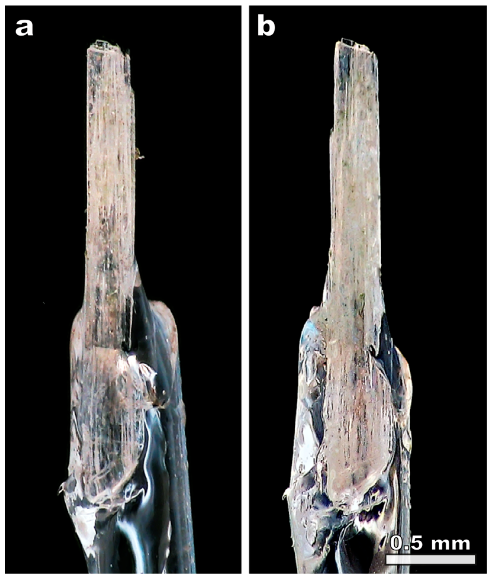 Materials 17 00111 g002