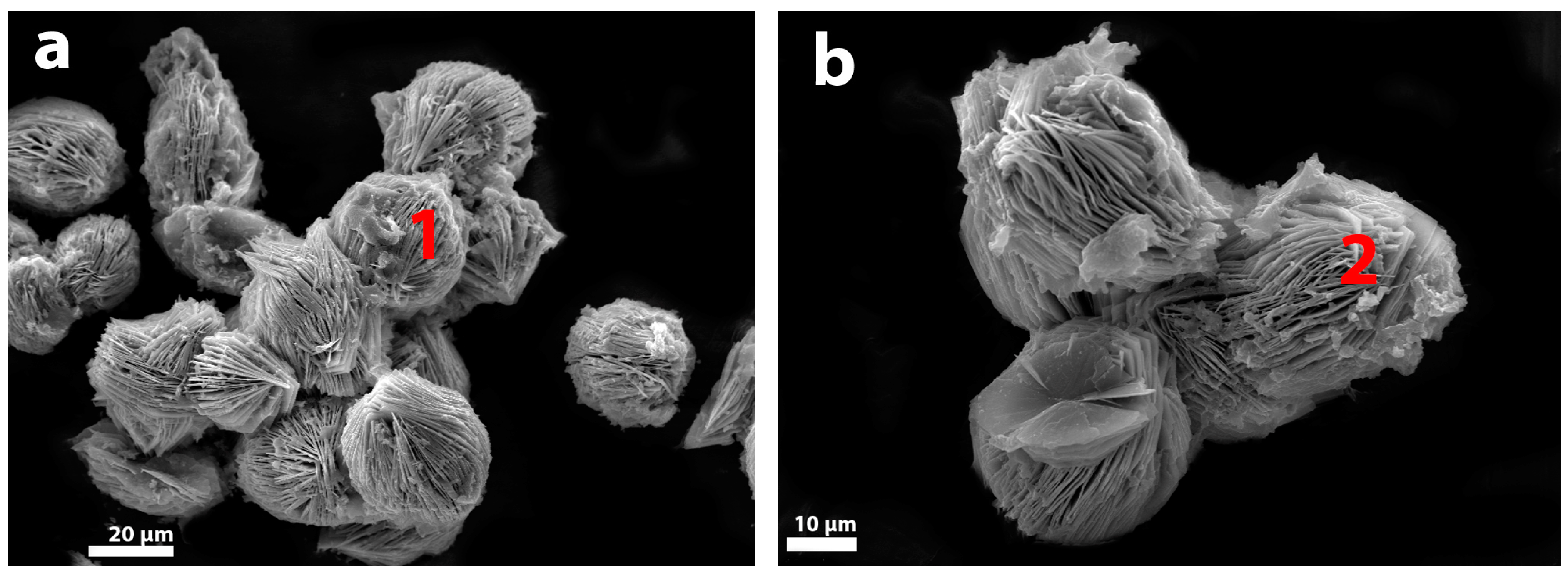 Materials 17 00111 g006