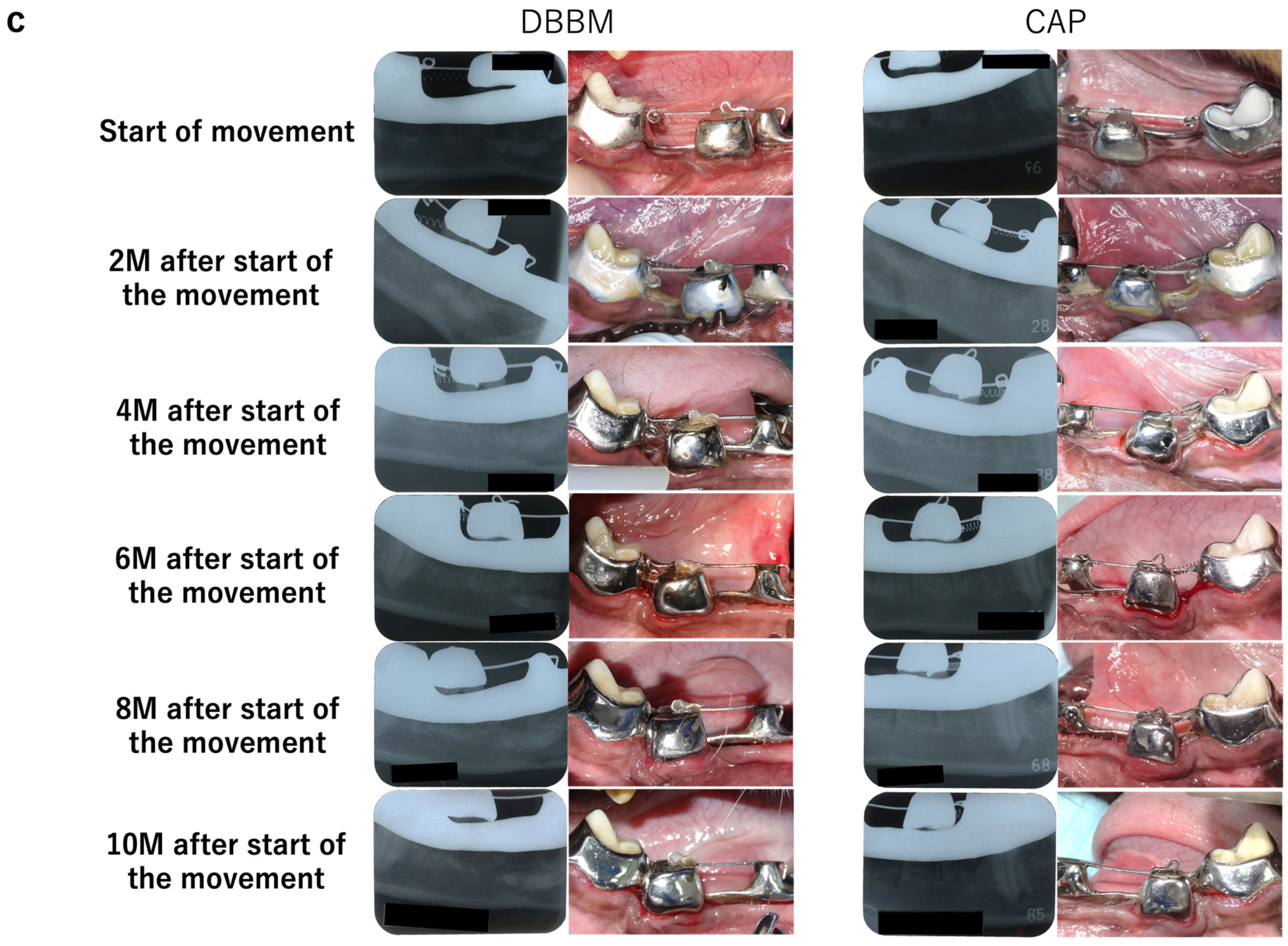 Materials 17 00112 g002b