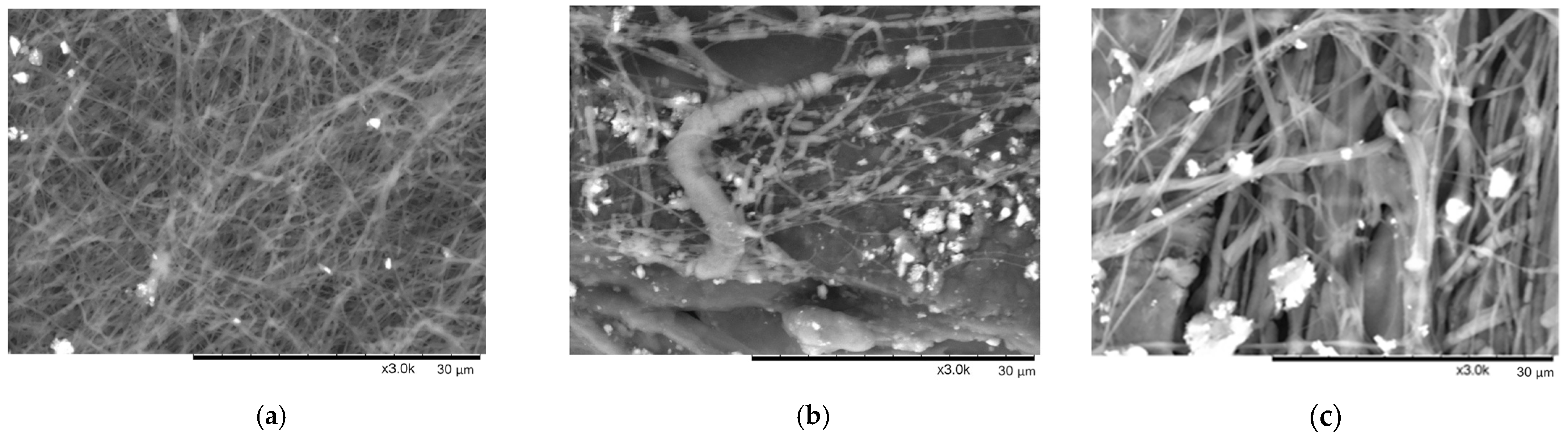 Materials 17 00132 g005a