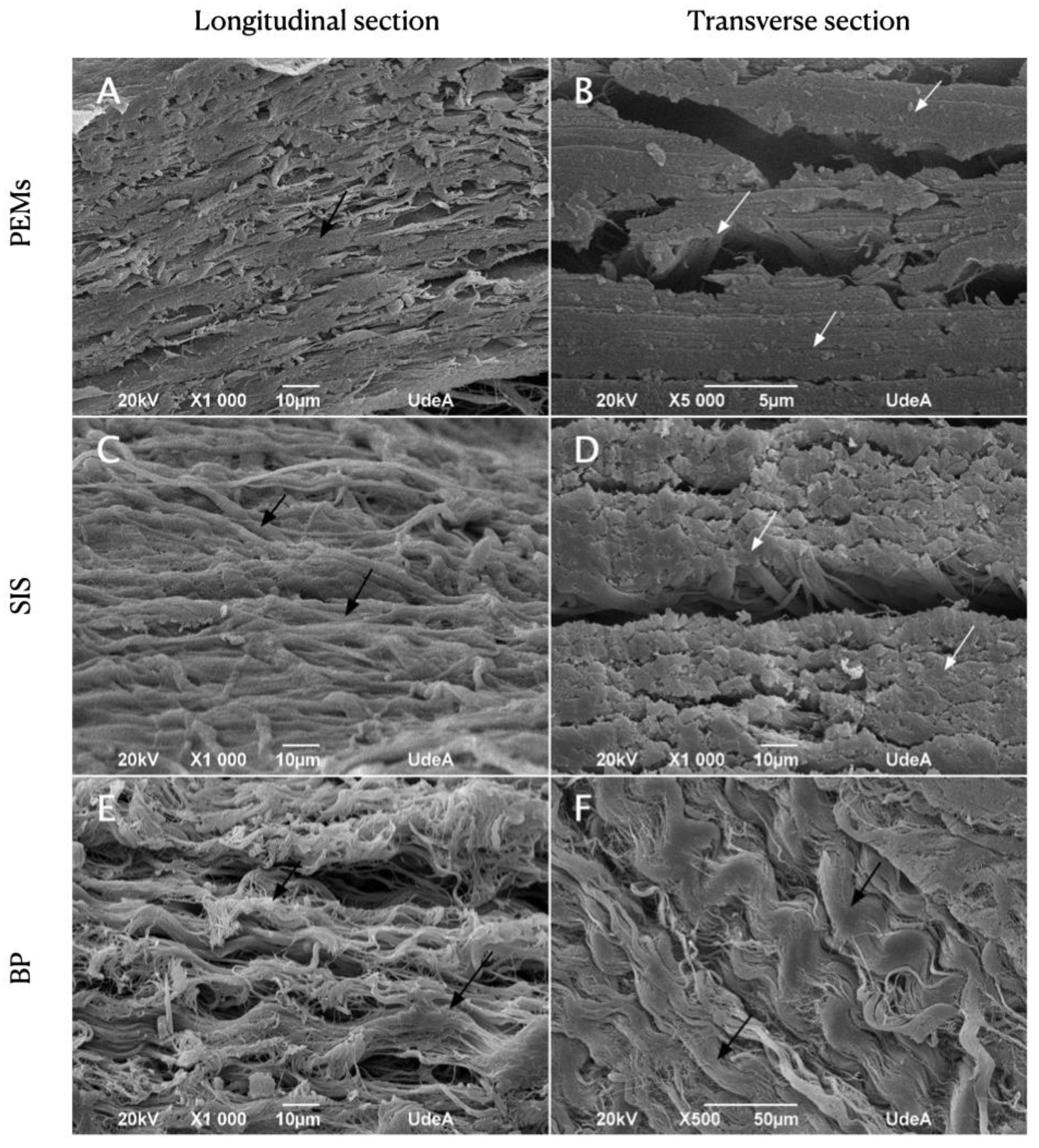 Materials 17 00134 g001