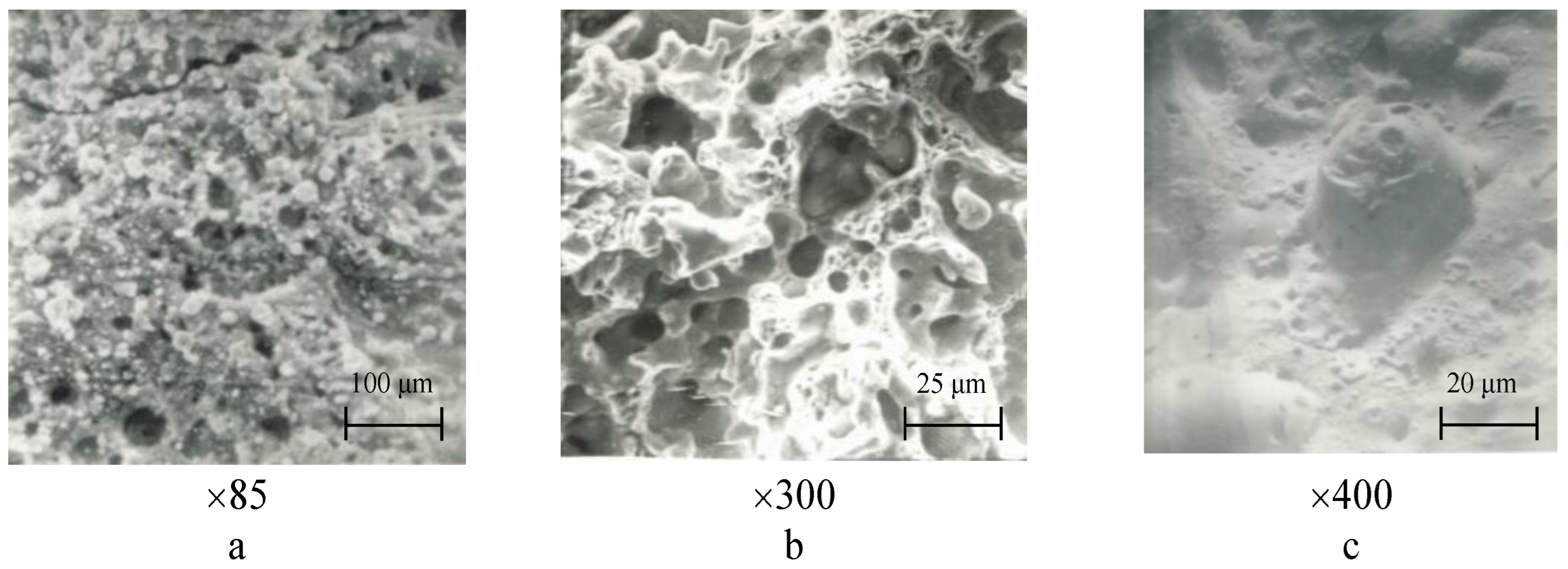 Materials 17 00145 g011