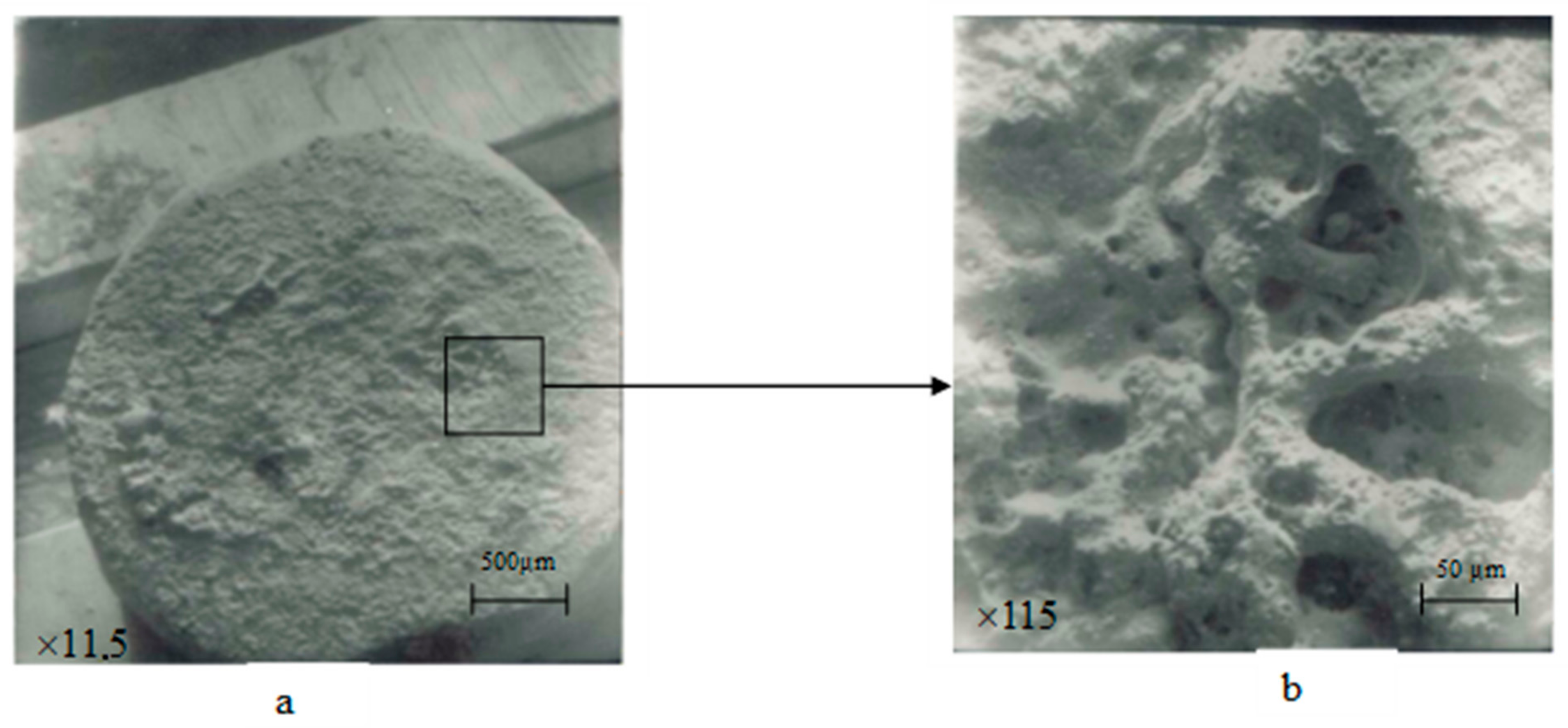 Materials 17 00145 g014