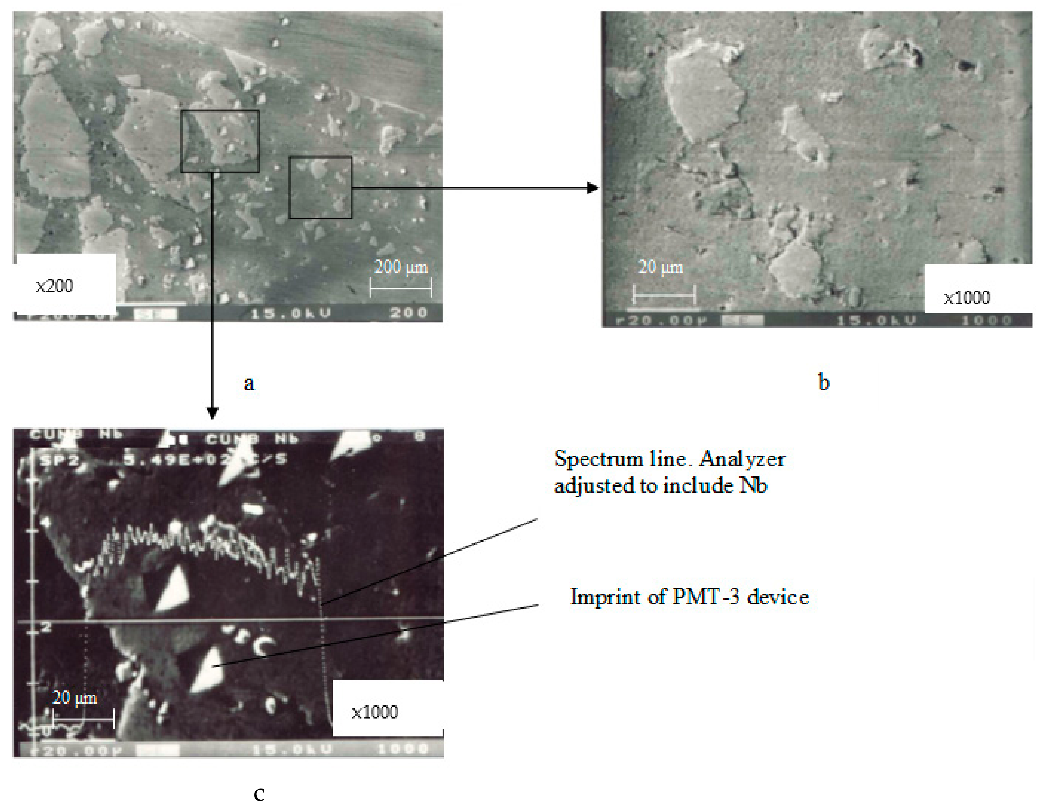 Materials 17 00145 g017