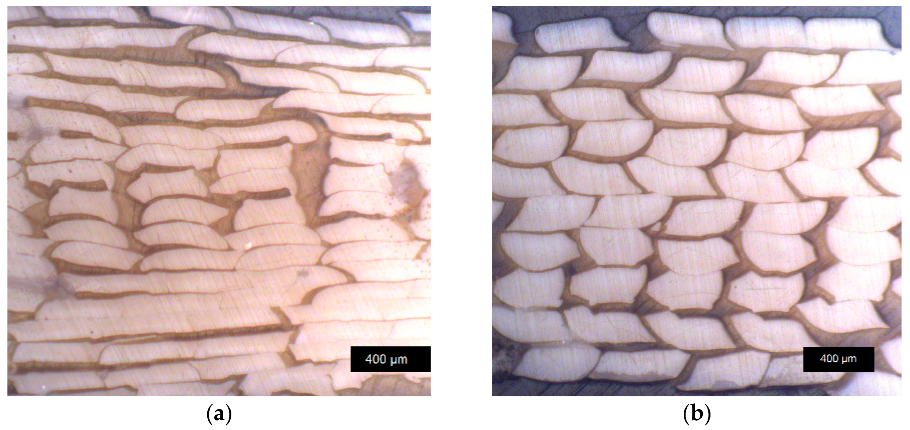 Materials 17 00152 g008