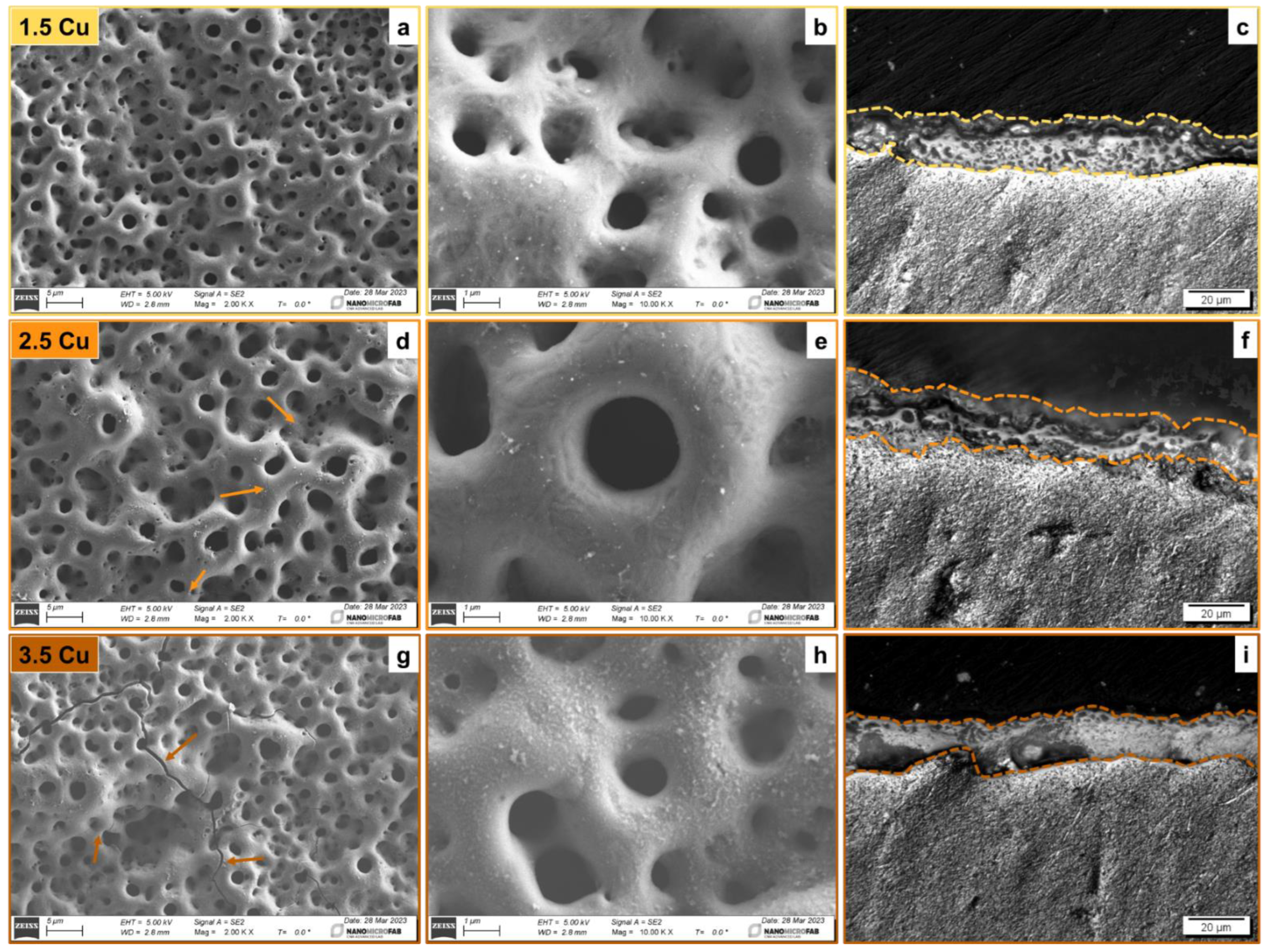 Materials 17 00156 g002