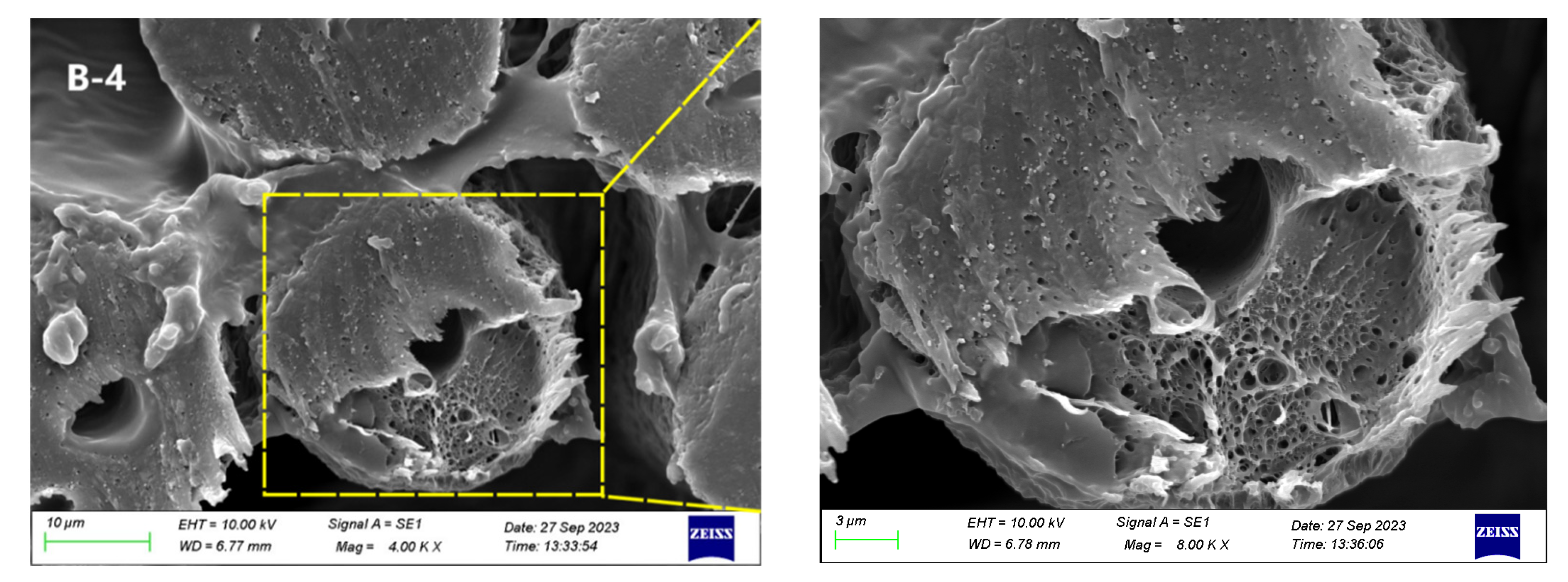 Materials 17 00160 g005