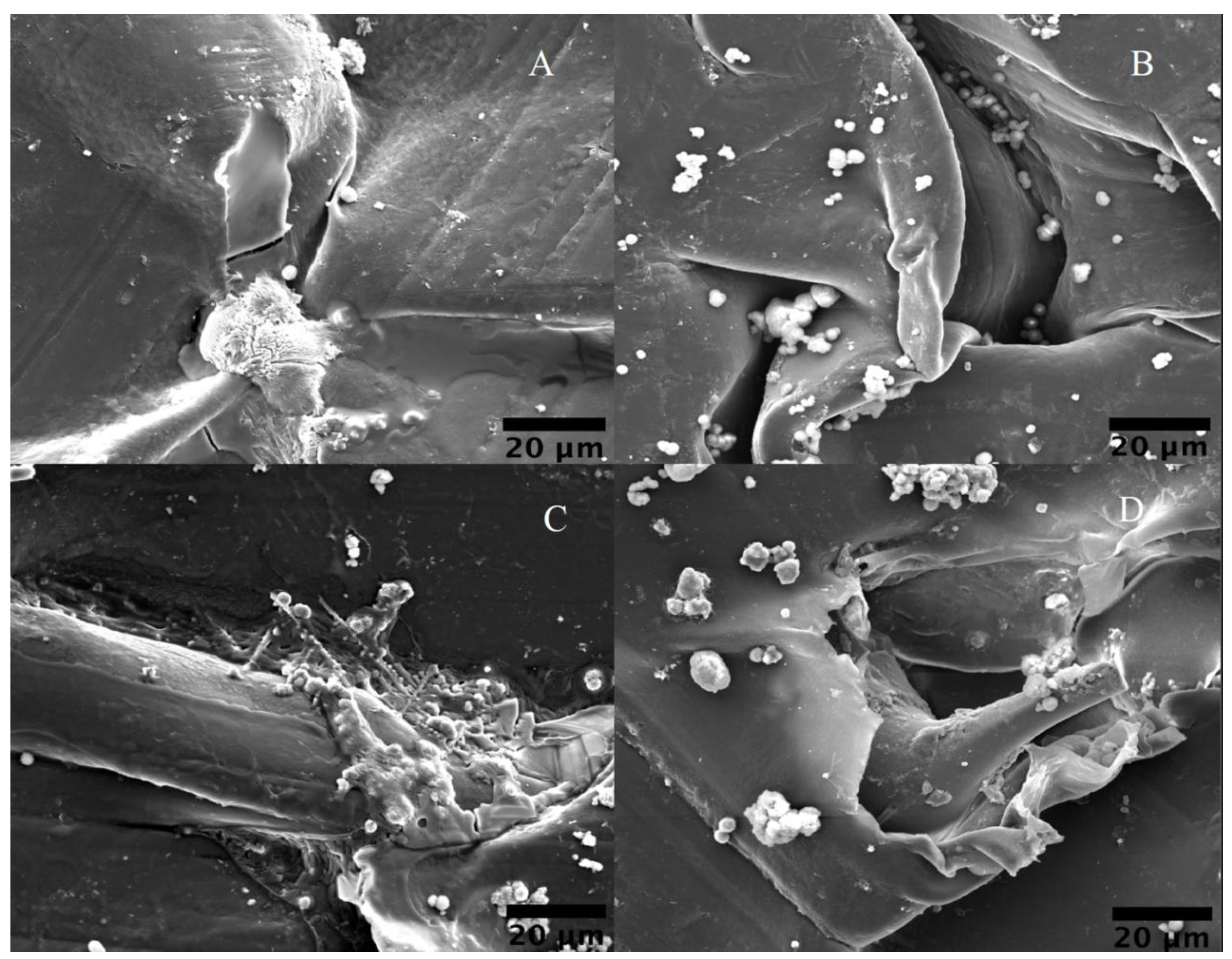 Materials 17 00171 g009