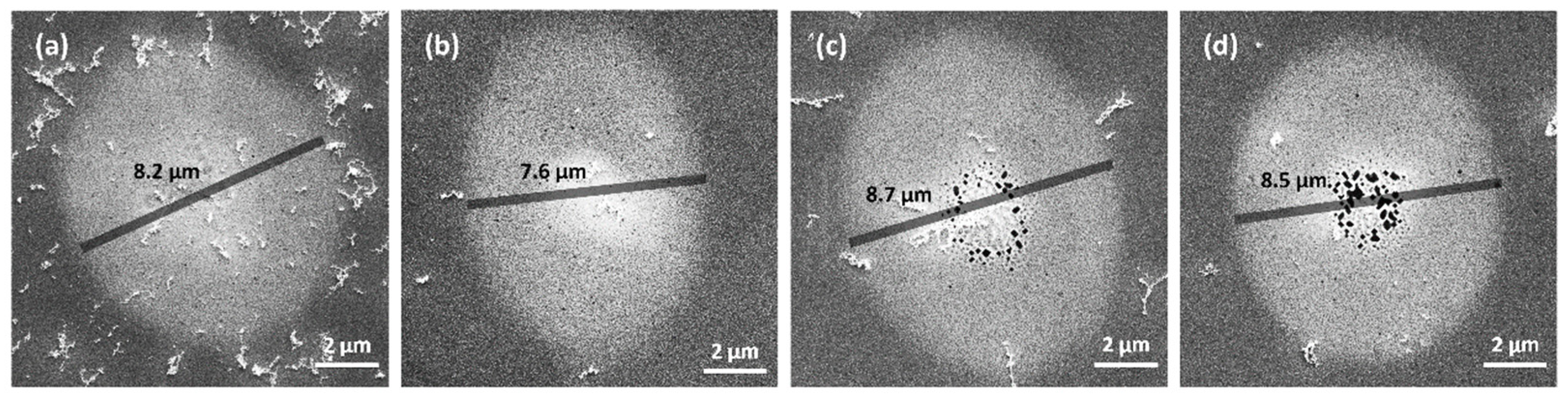 Materials 17 00185 g006
