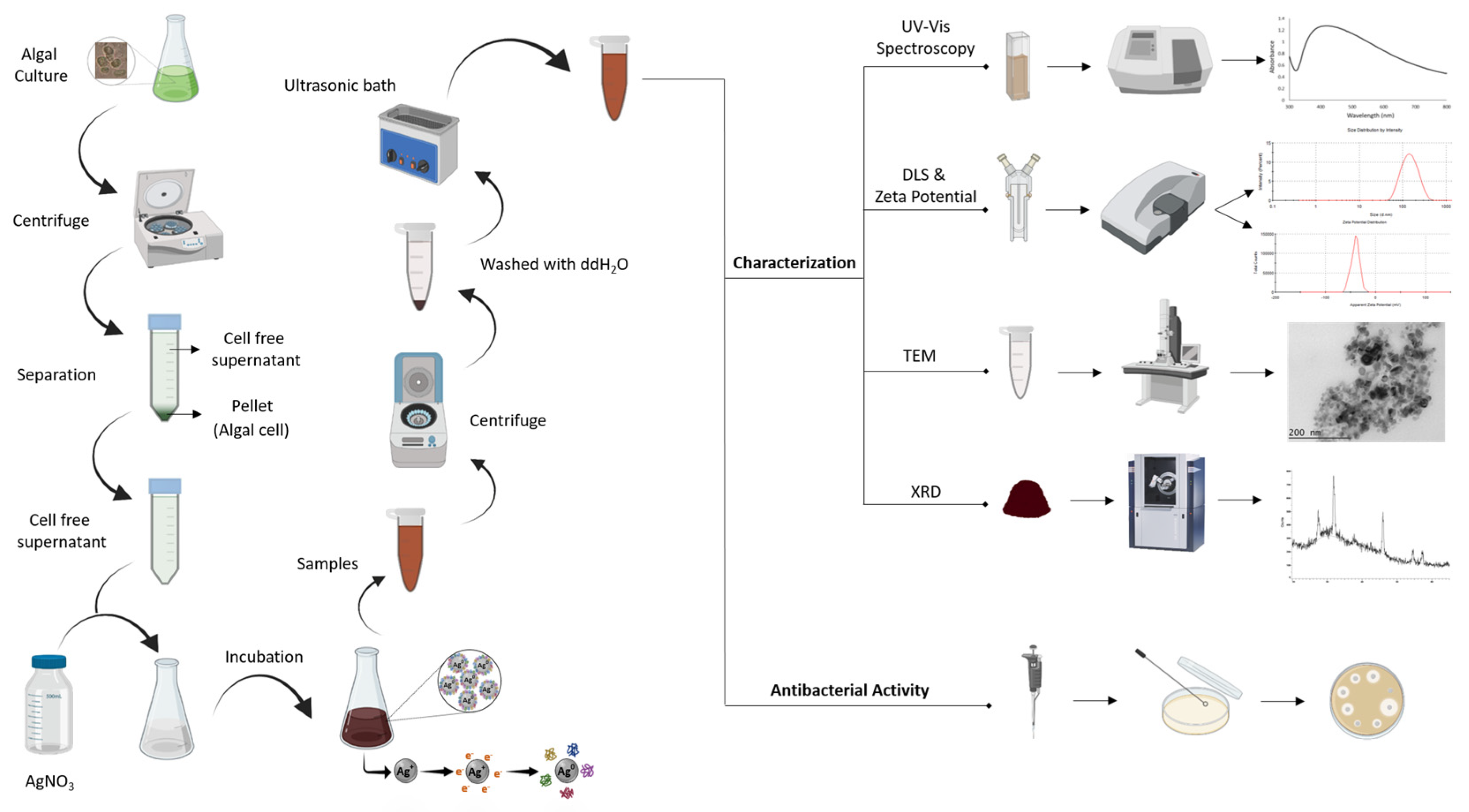 Materials 17 00187 g001