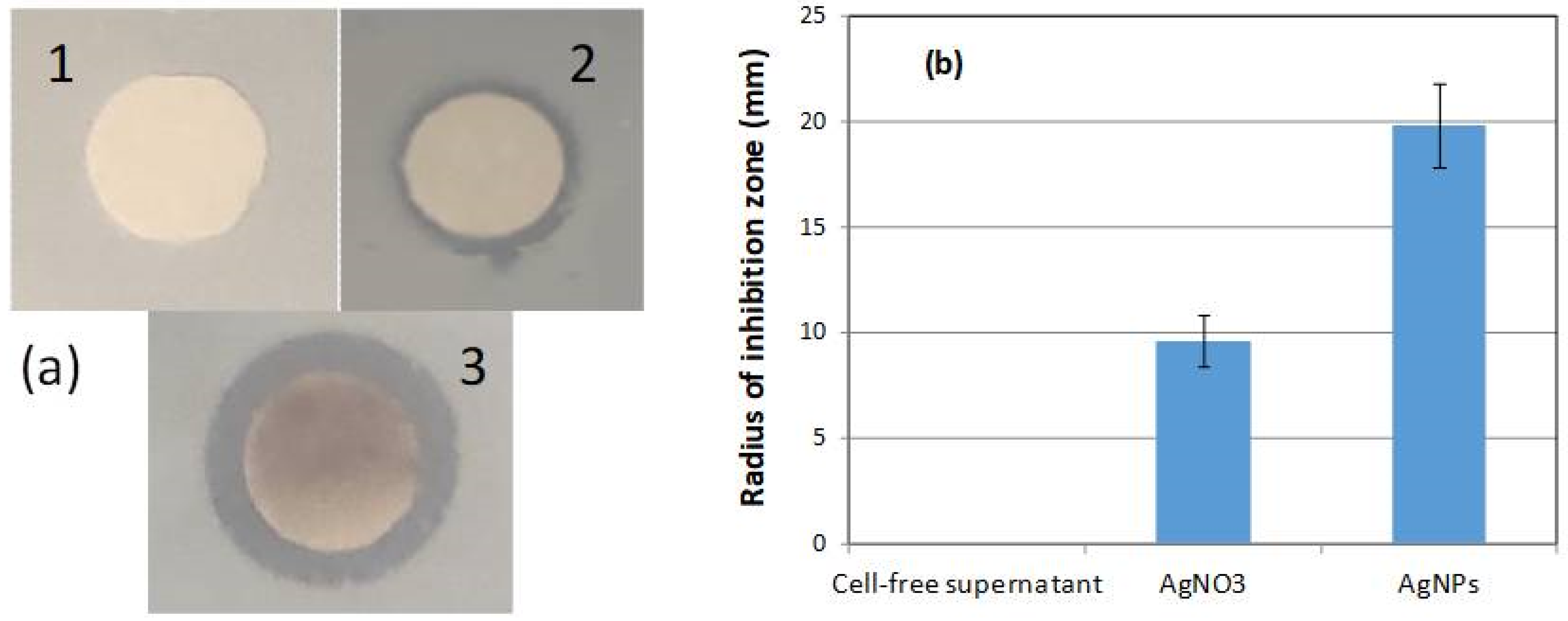 Materials 17 00187 g013
