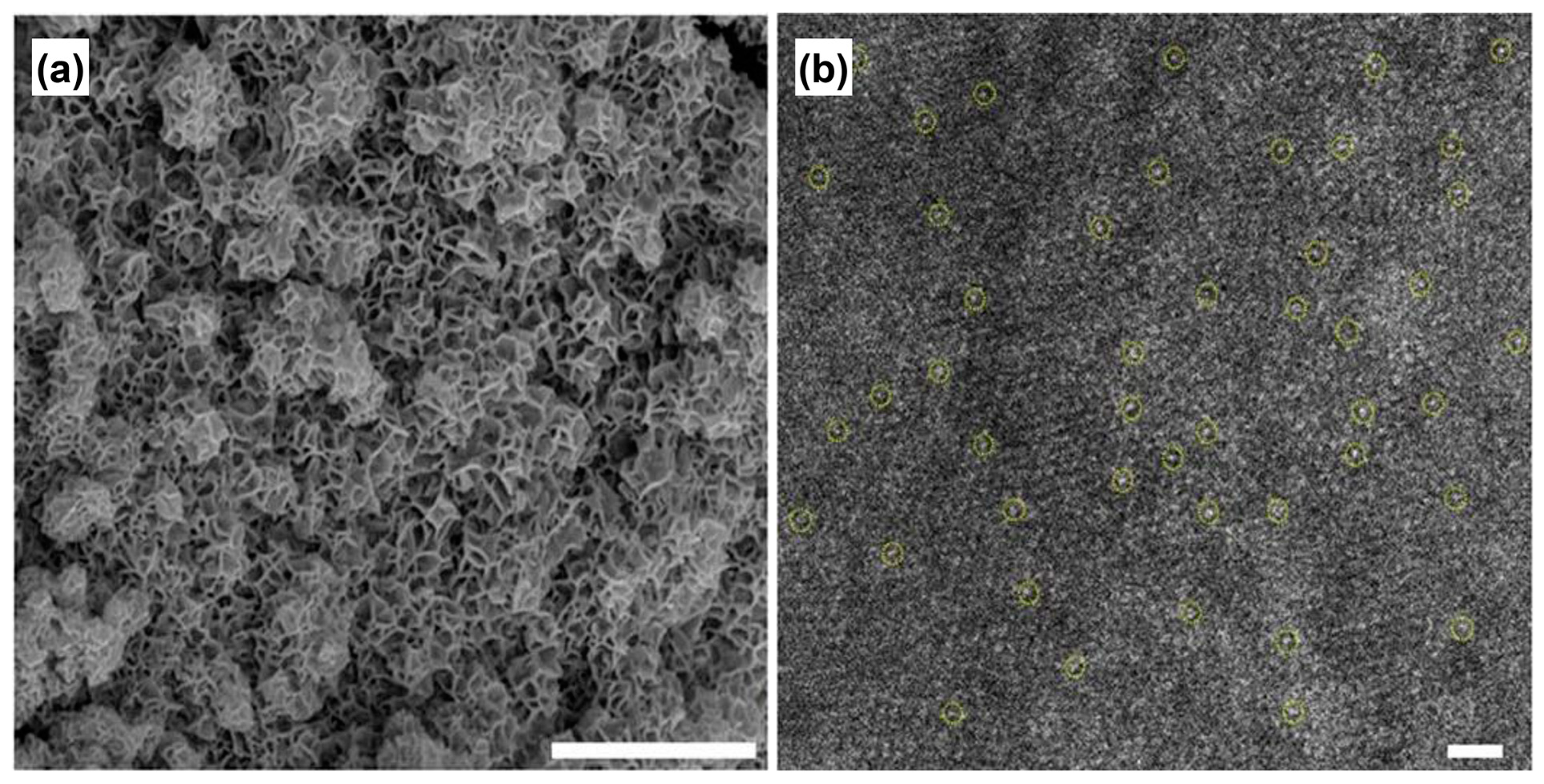 Materials 17 00199 g005