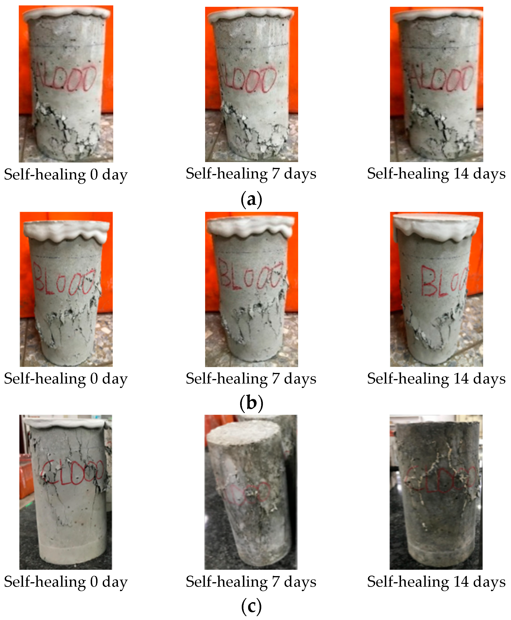 Materials 17 00214 g017