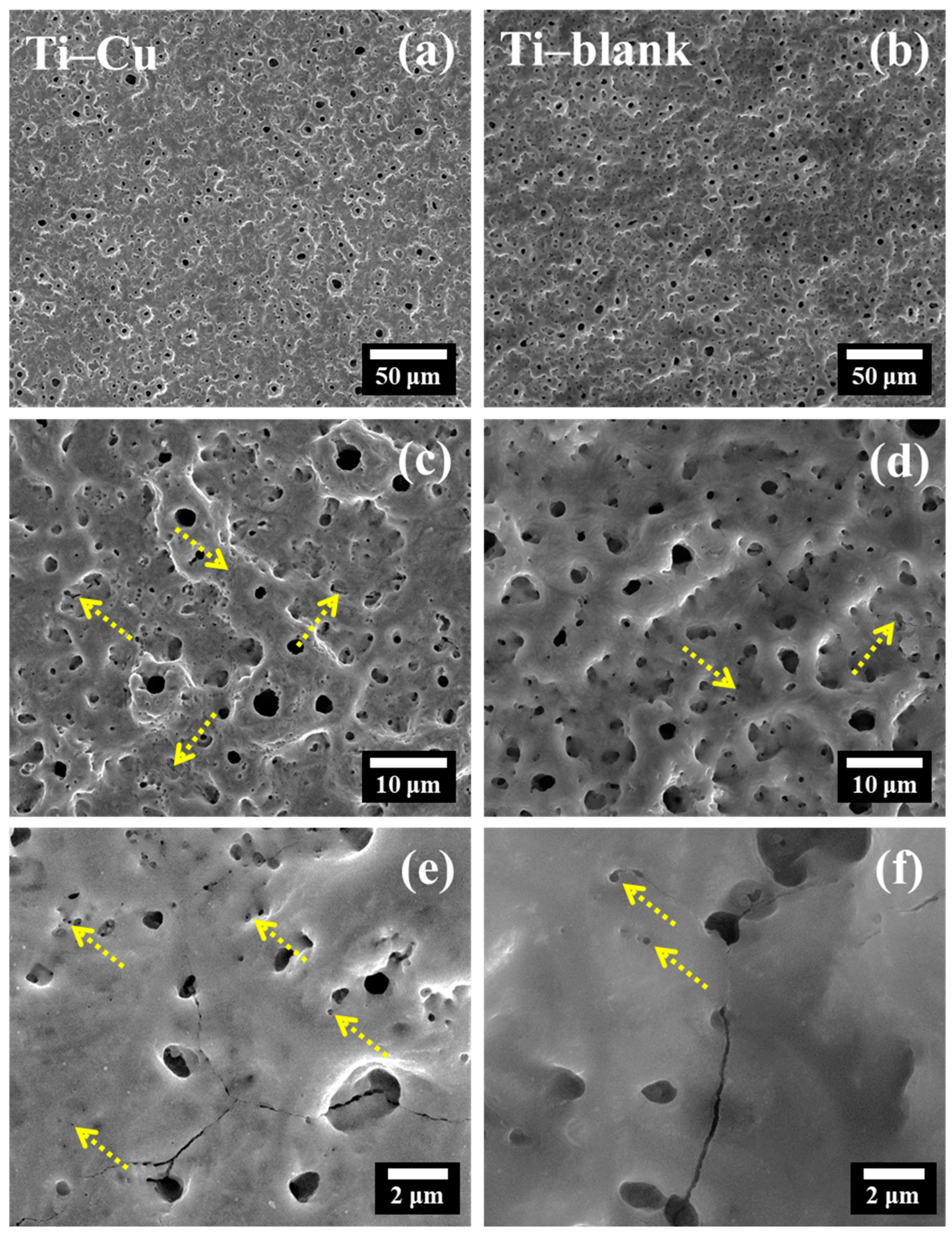 Materials 17 00217 g003