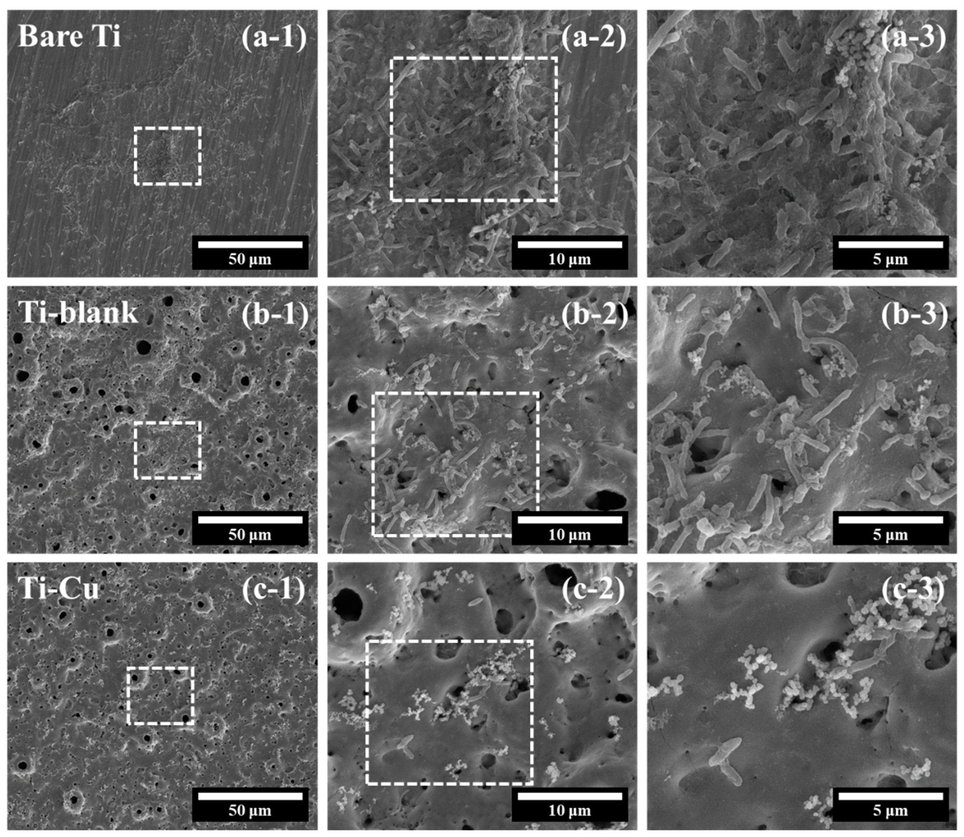 Materials 17 00217 g011