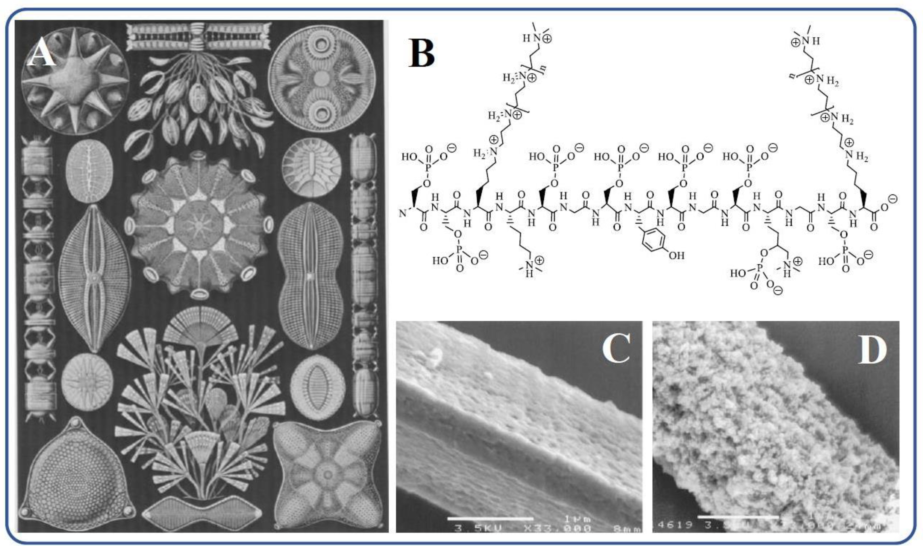 Materials 17 00224 g003 Materials 17 00224 g003
