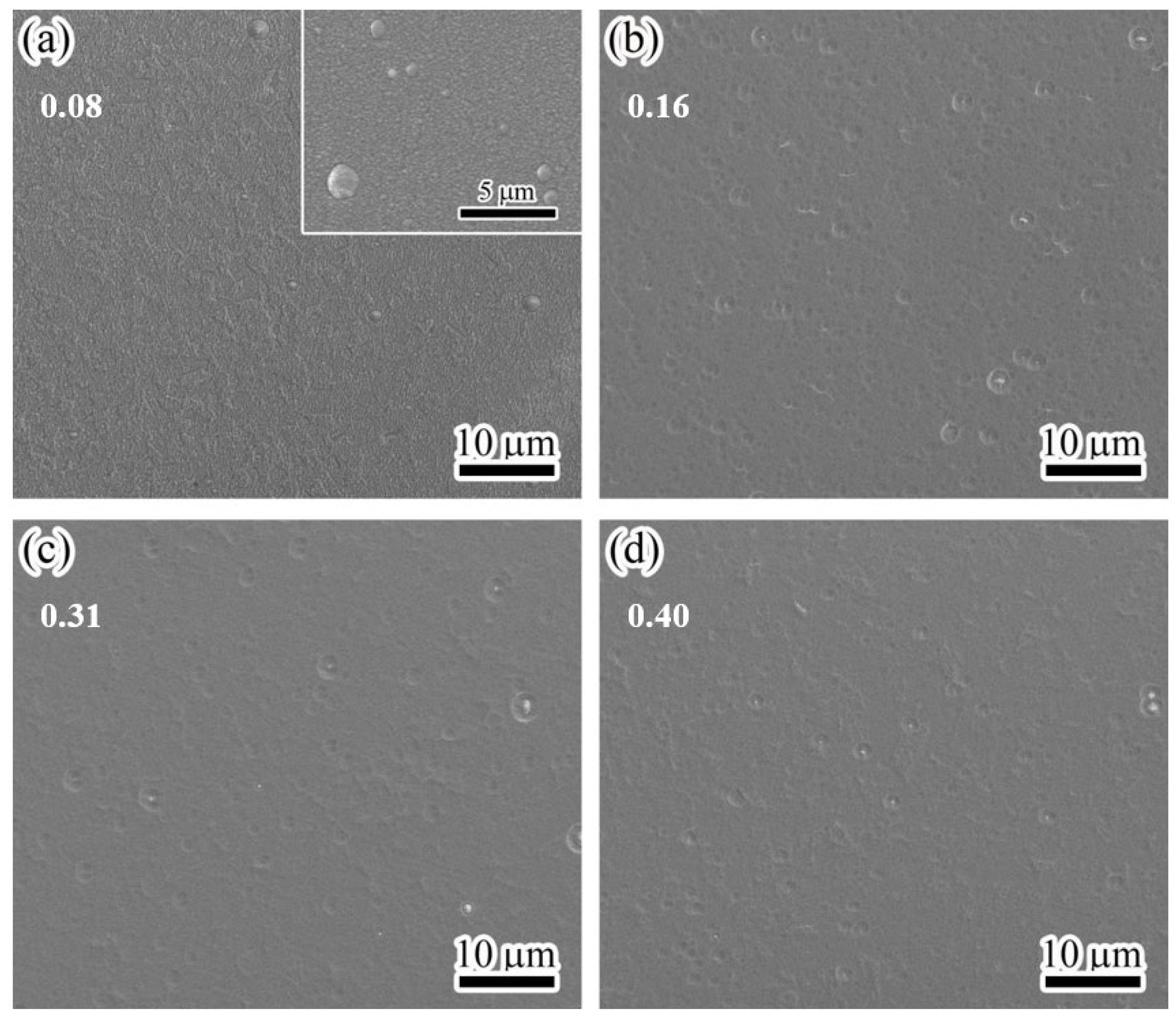 Materials 17 00229 g003