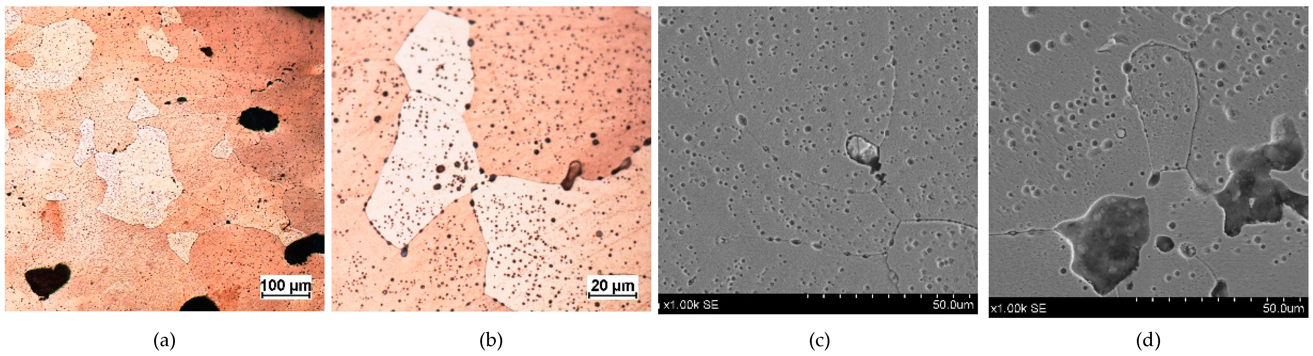 Materials 17 00230 g005