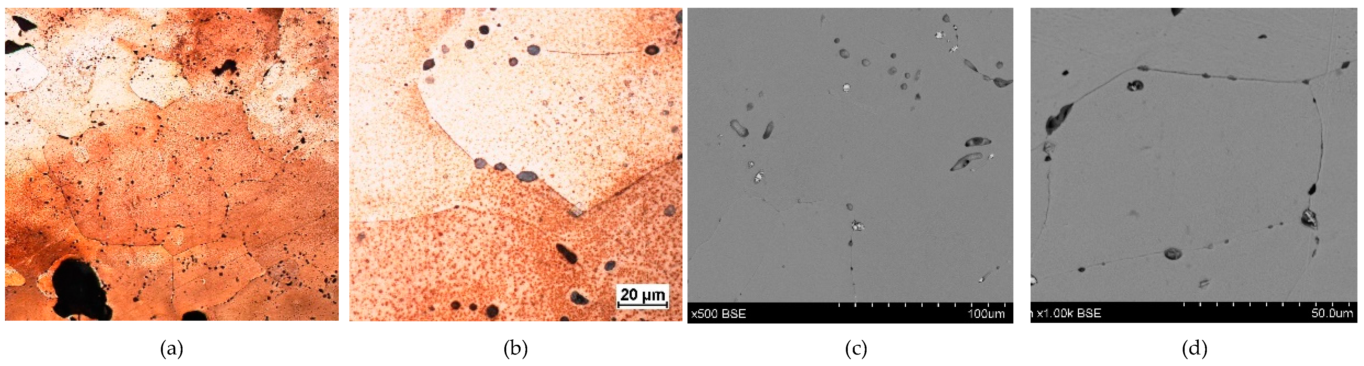 Materials 17 00230 g007