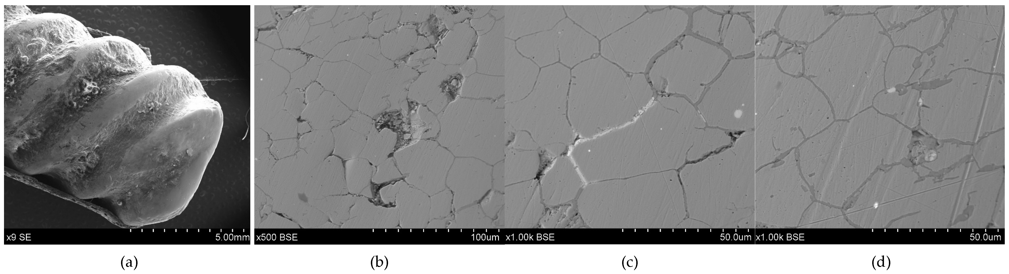 Materials 17 00230 g013