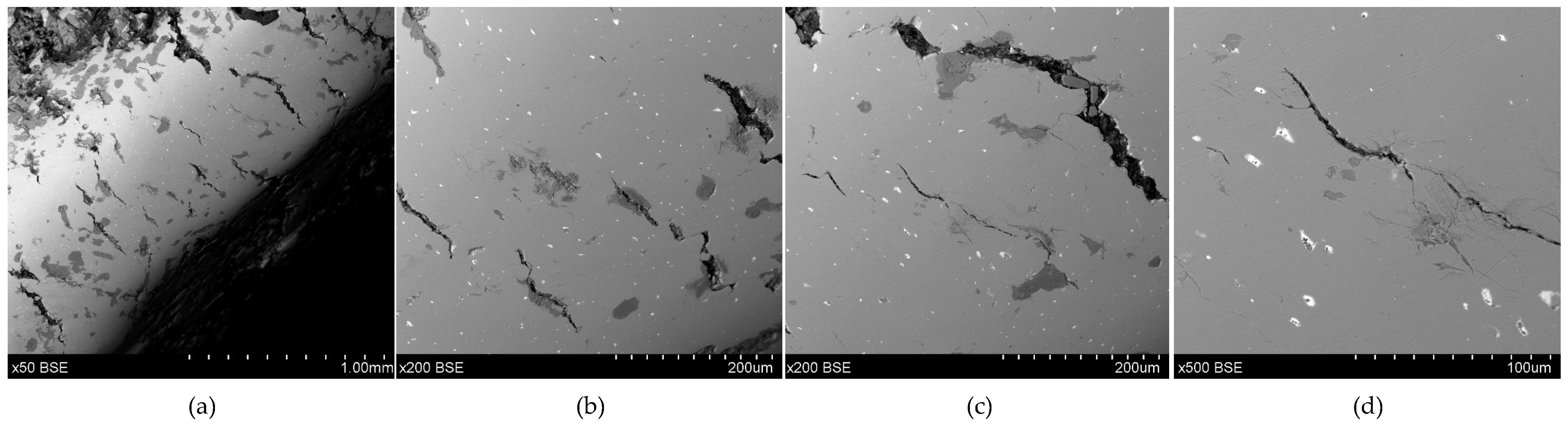 Materials 17 00230 g015