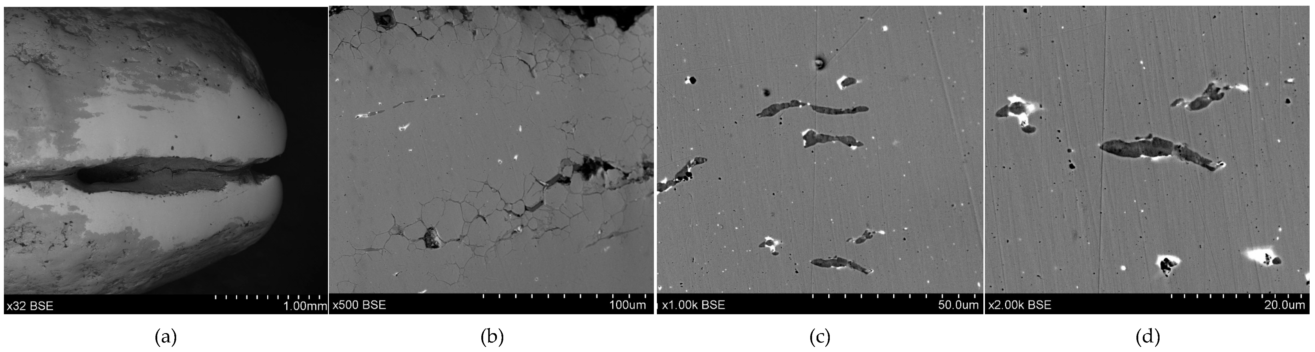 Materials 17 00230 g019