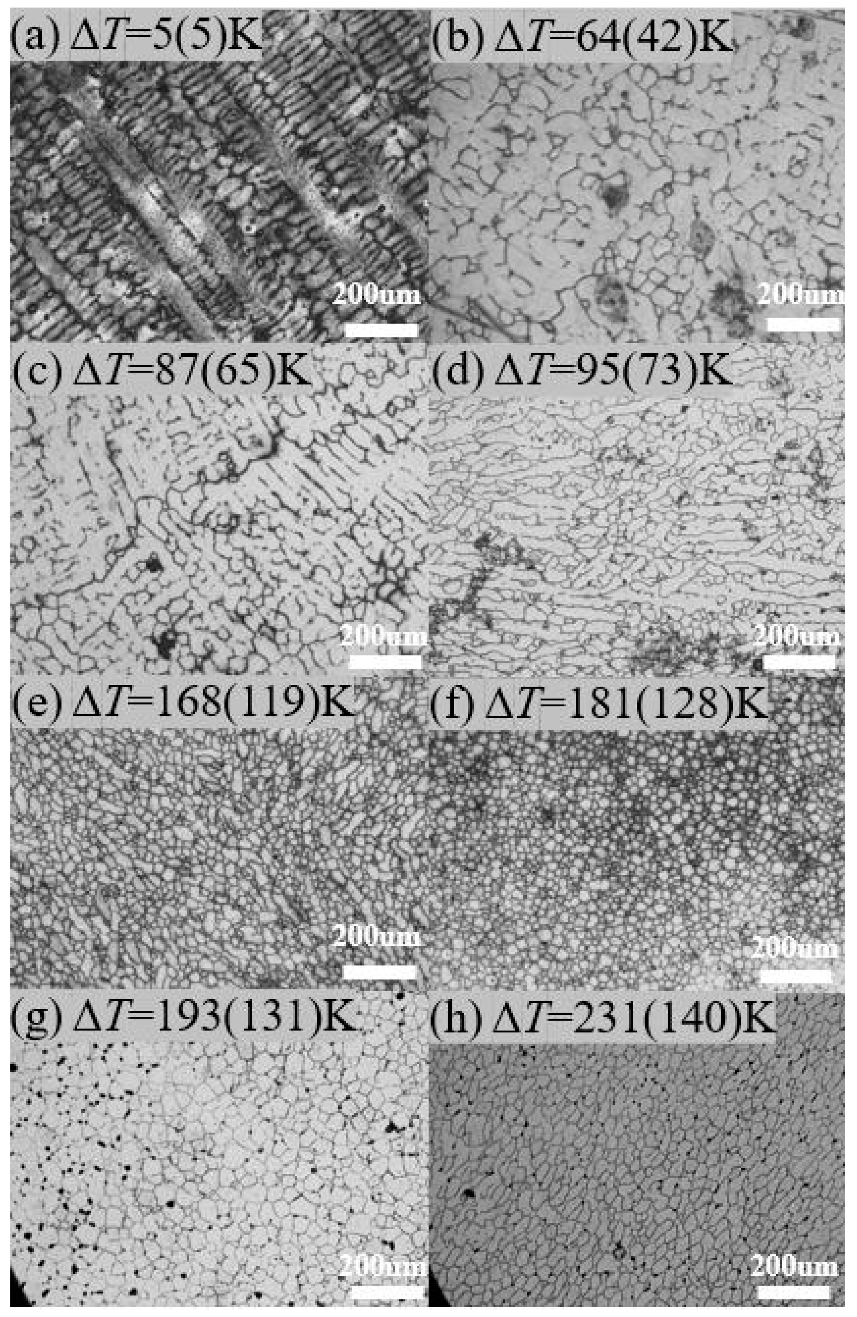 Materials 17 00231 g005 Materials 17 00231 g005