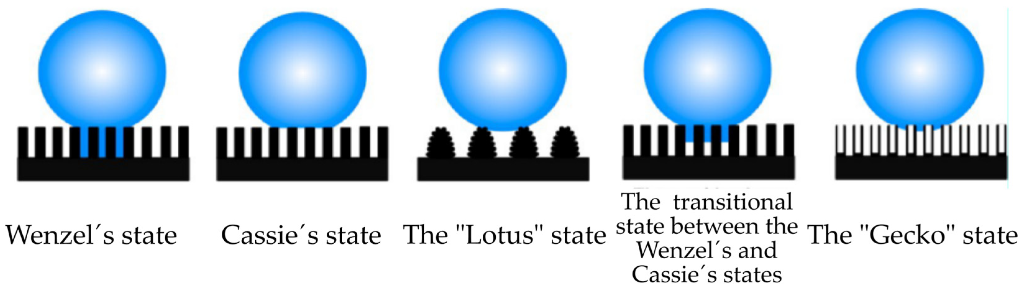 Materials 17 00235 g005