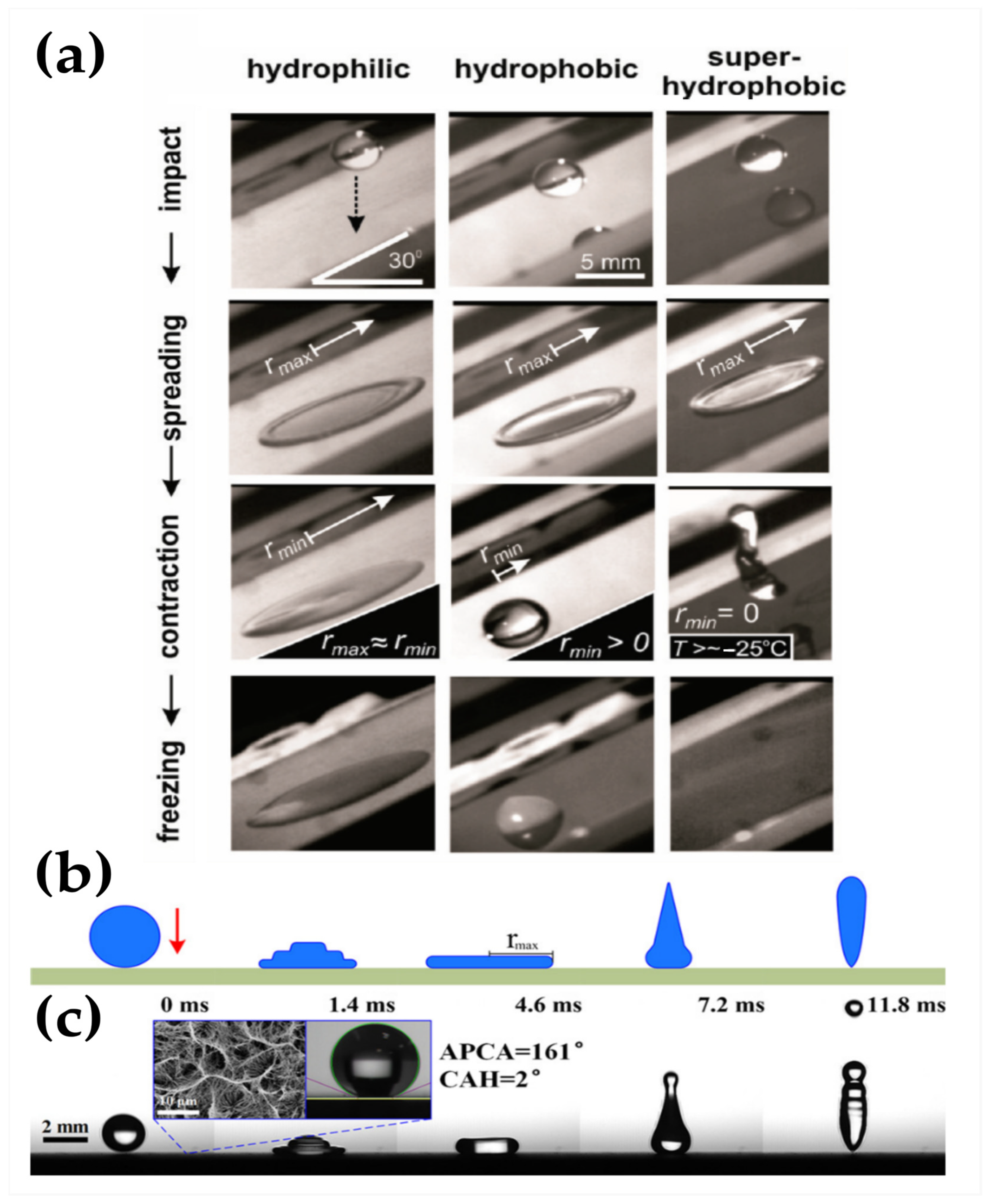 Materials 17 00235 g006