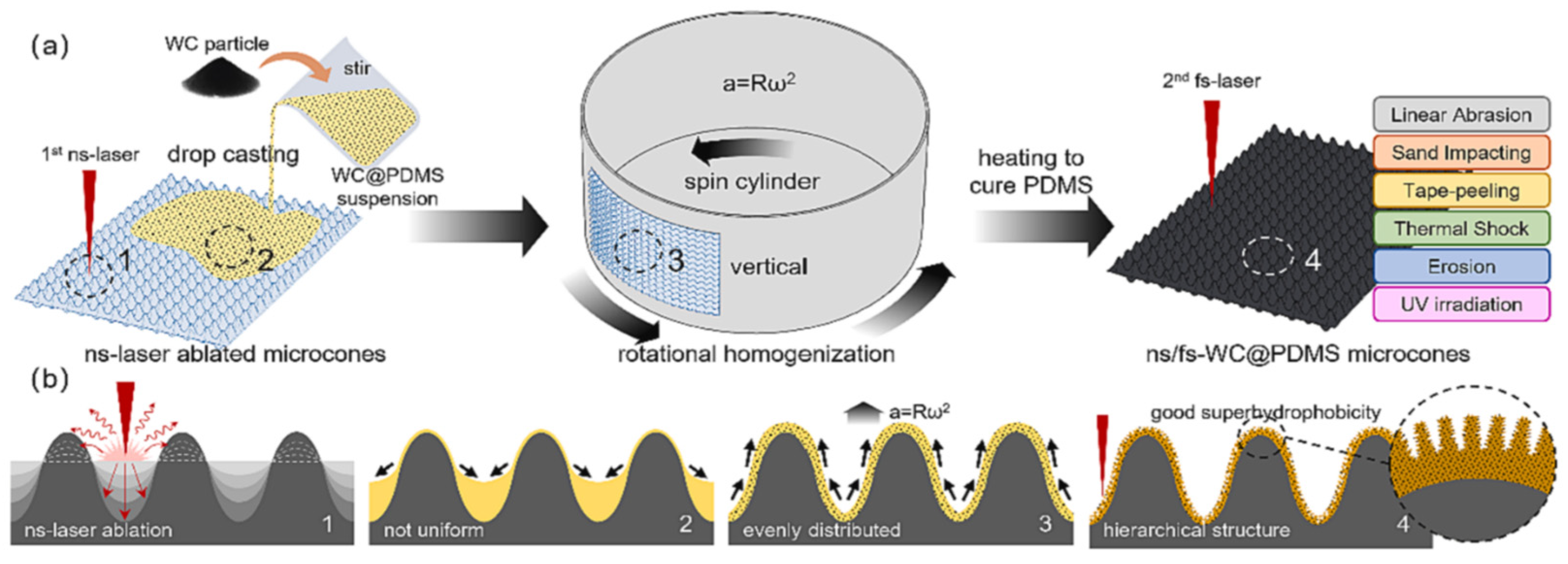 Materials 17 00235 g013