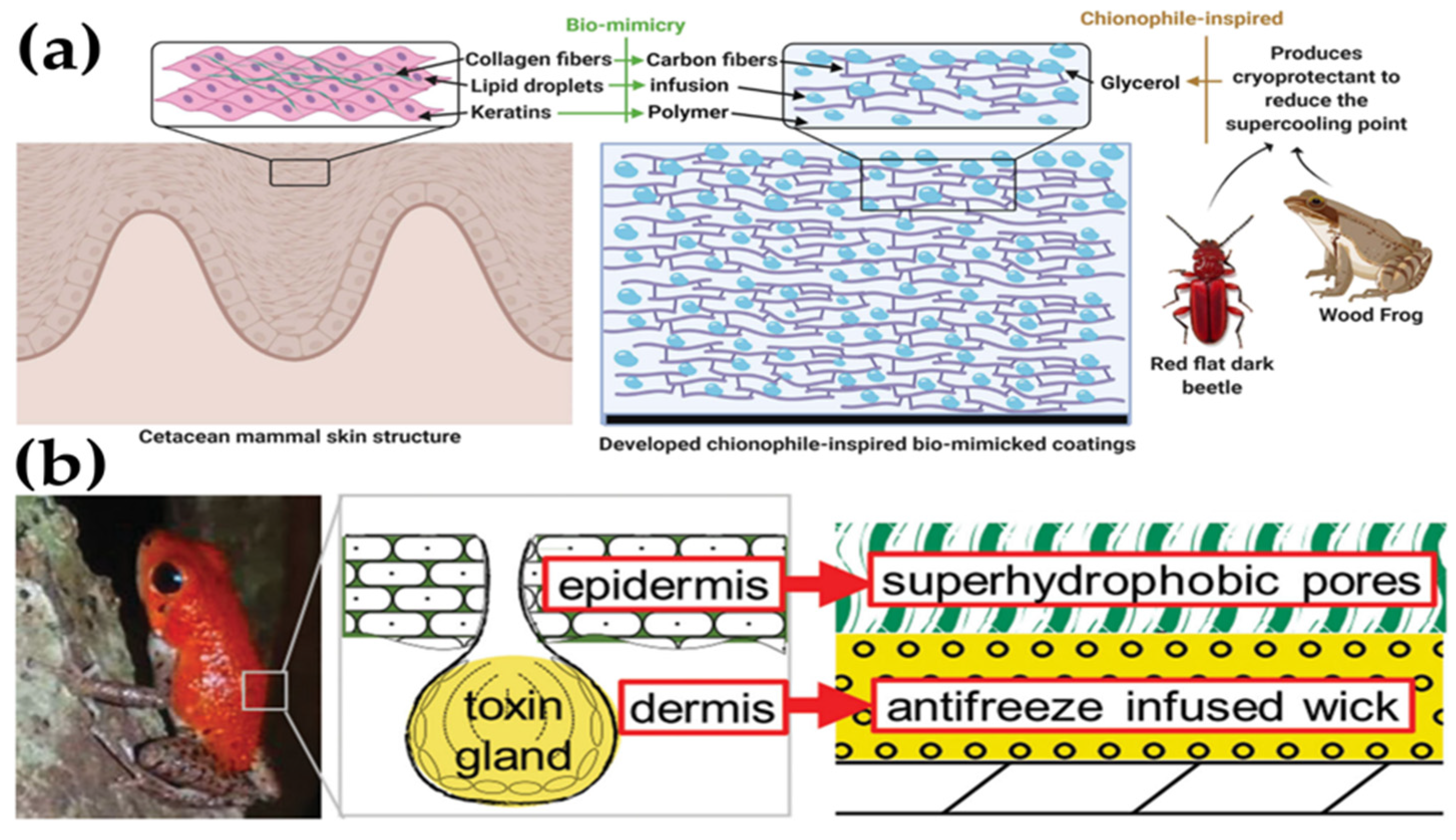 Materials 17 00235 g014