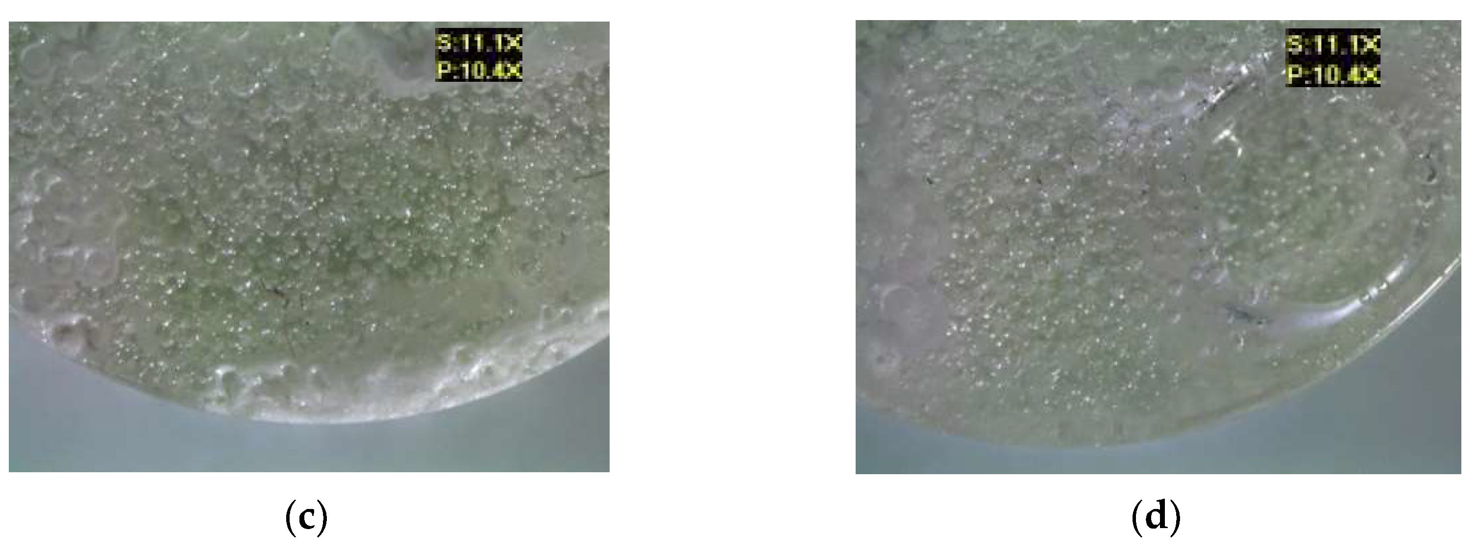 Materials 17 00259 g008b