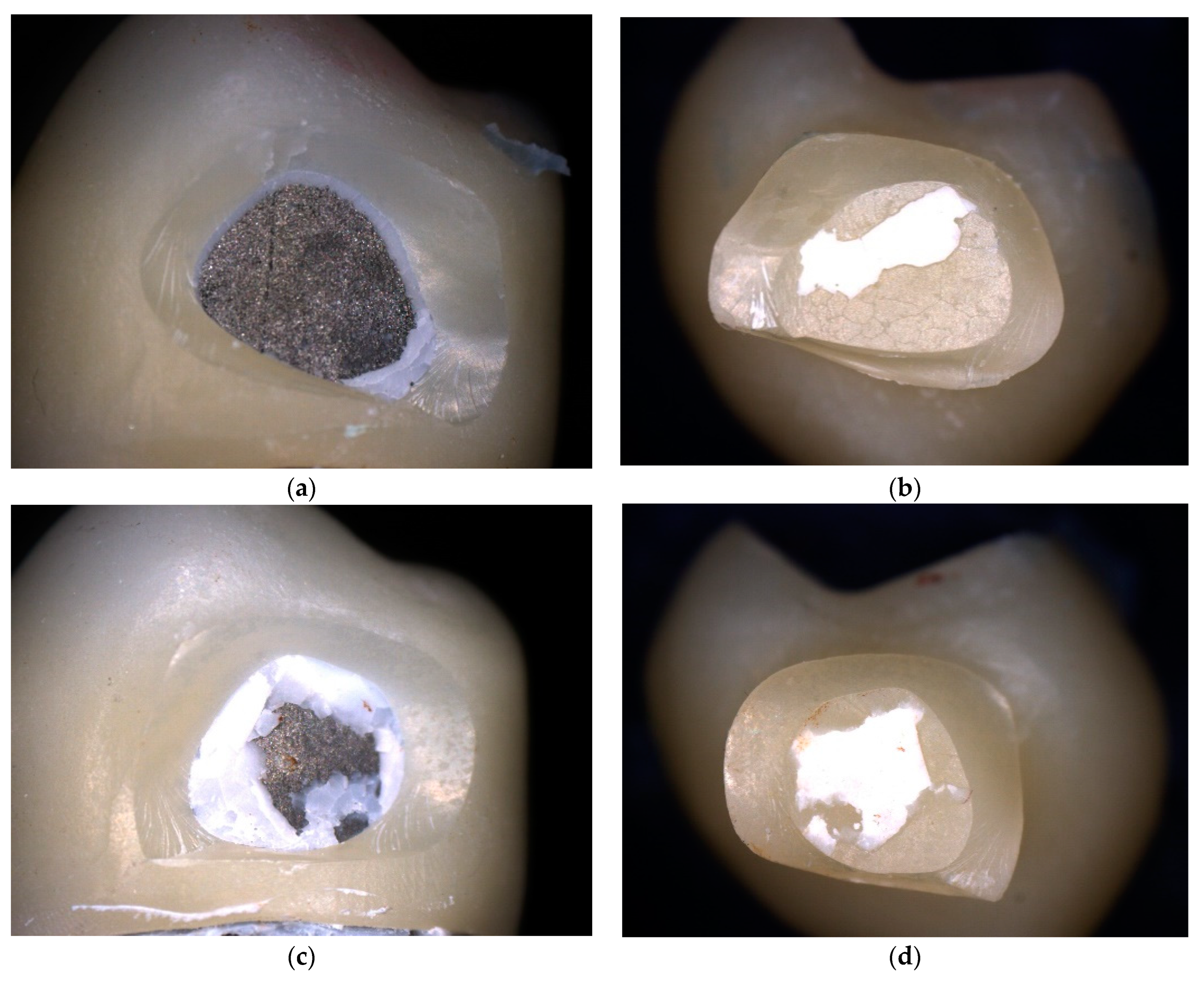 Materials 17 00263 g007