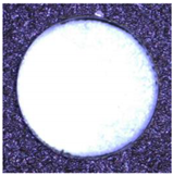 Materials 17 00297 i006