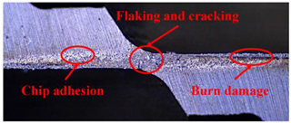 Materials 17 00297 i010