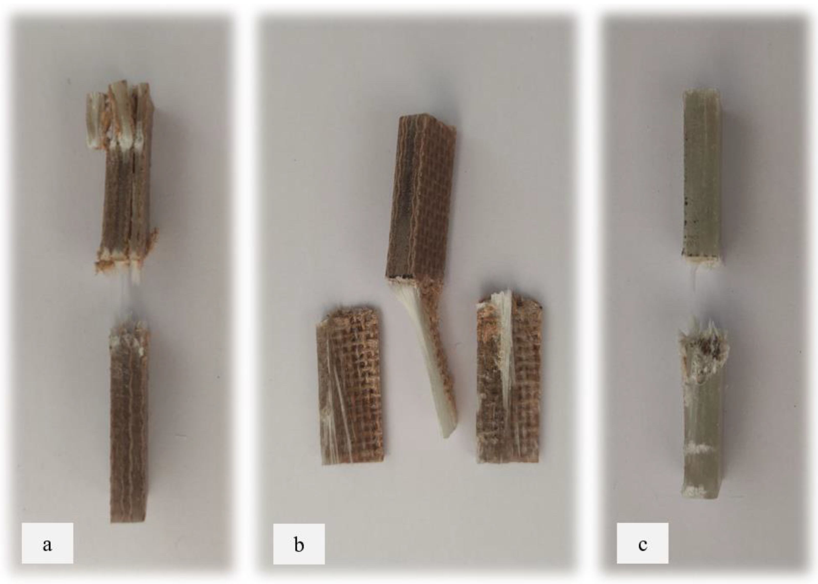 Materials 17 00302 g010