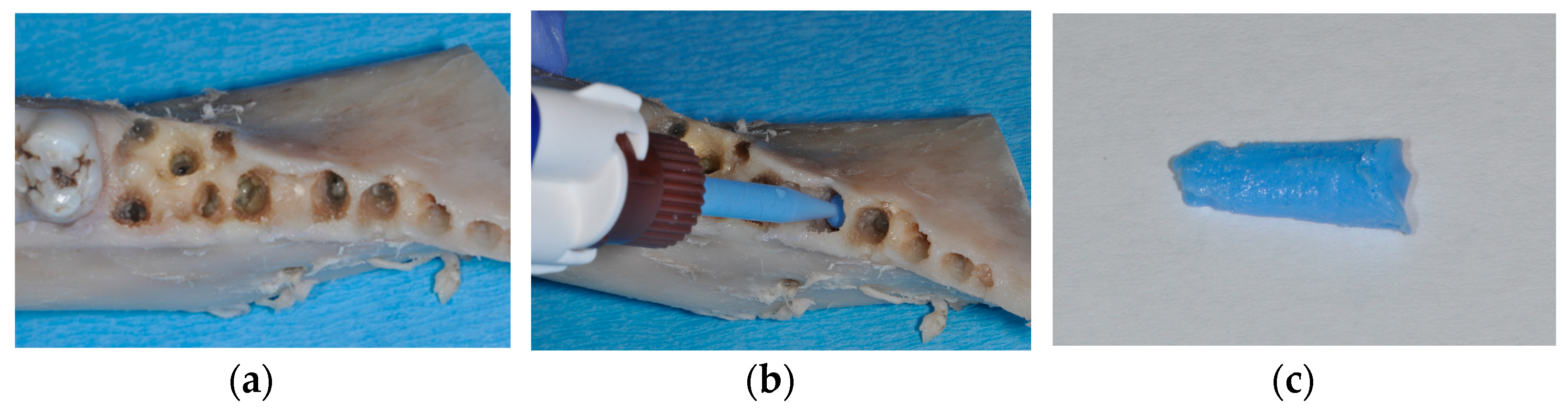 Materials 17 00313 g001