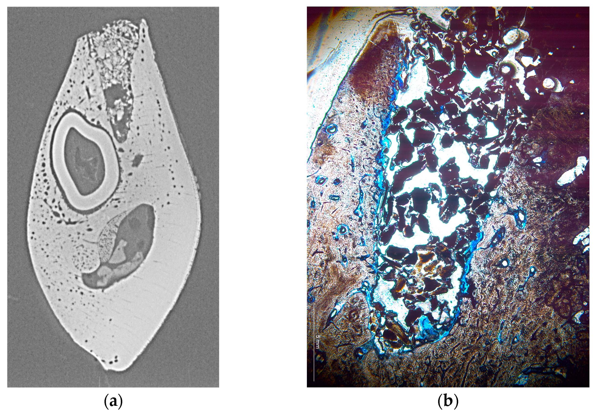 Materials 17 00313 g003