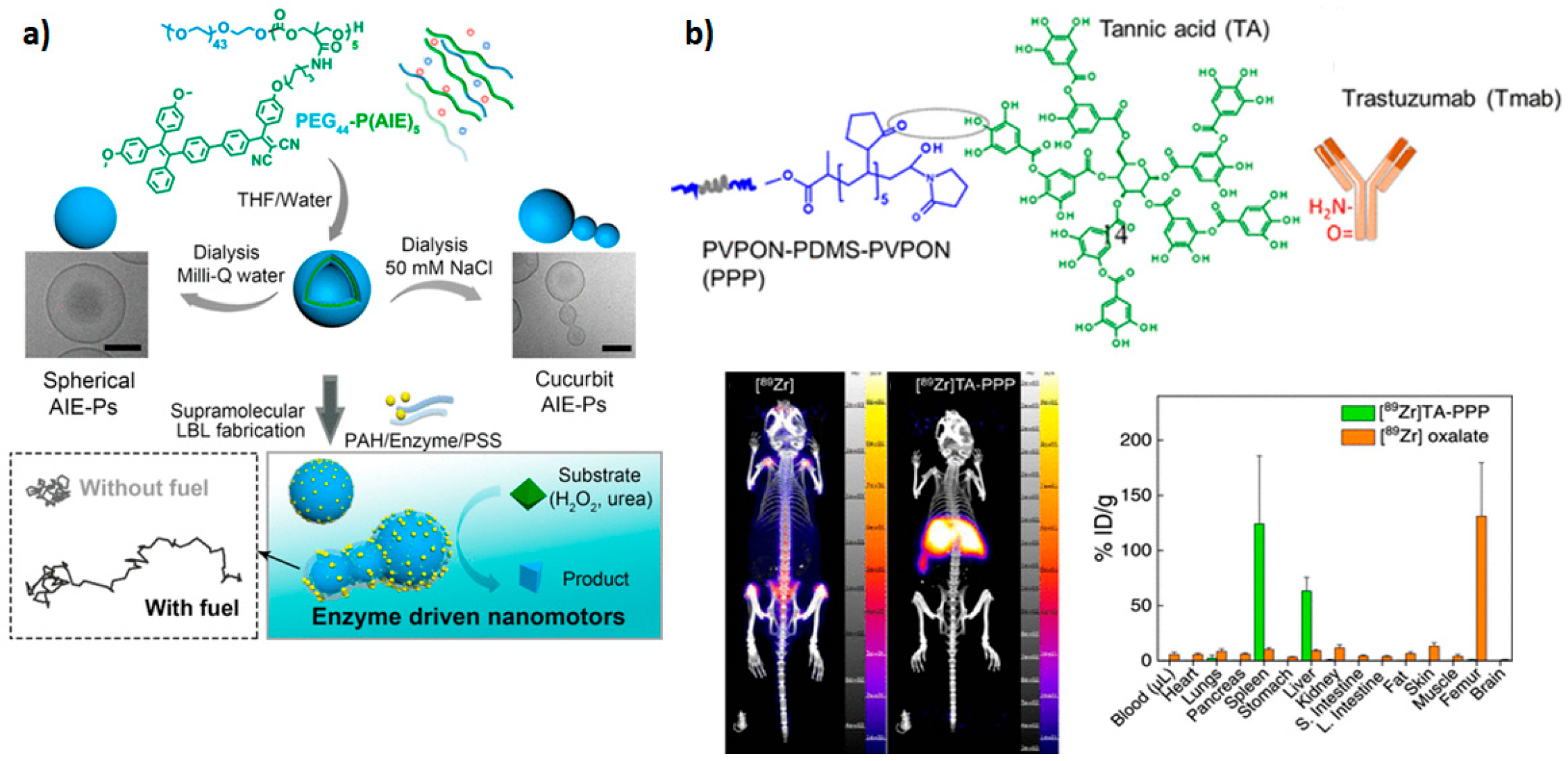 Materials 17 00319 g002