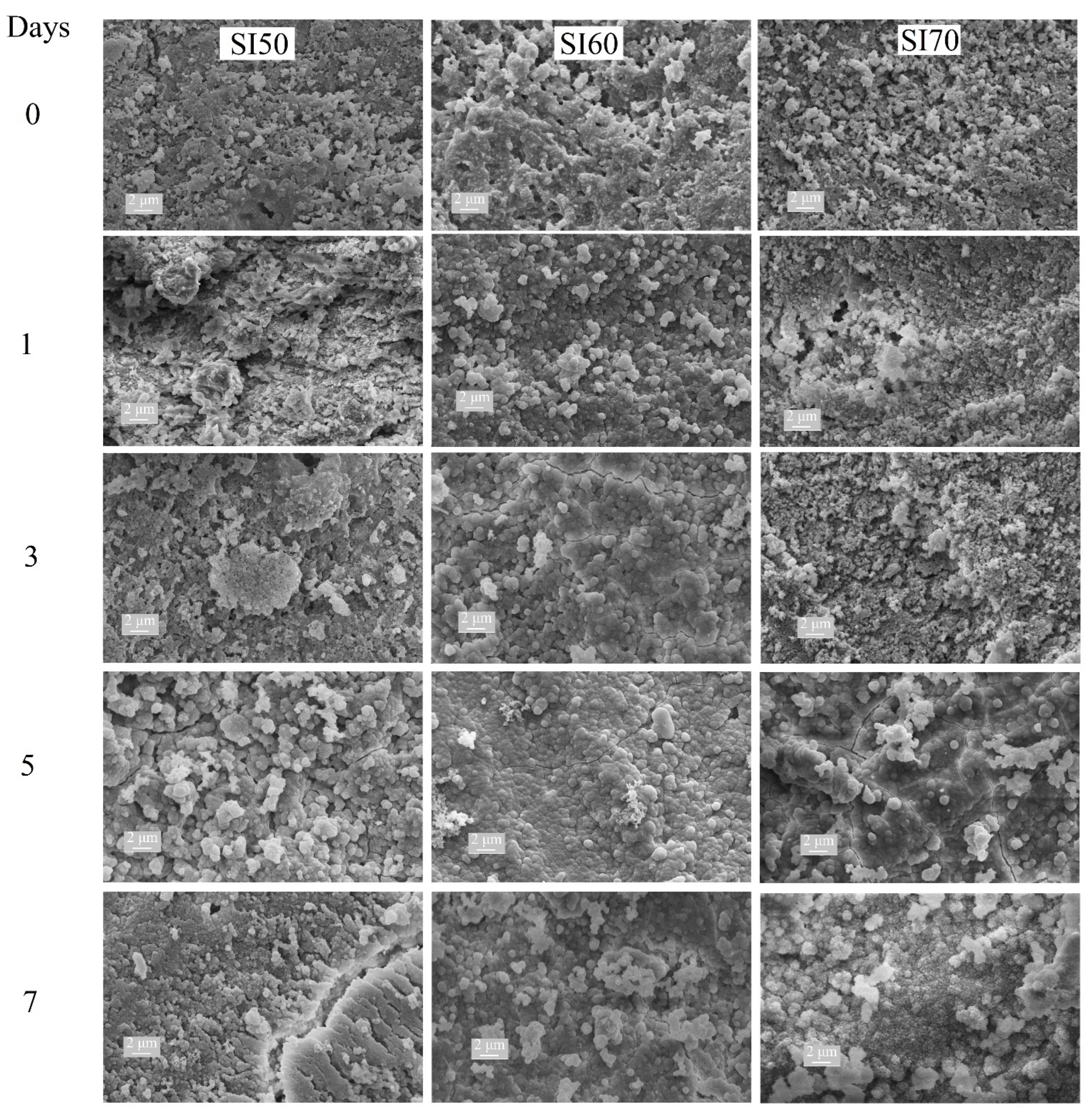 Materials 17 00328 g006