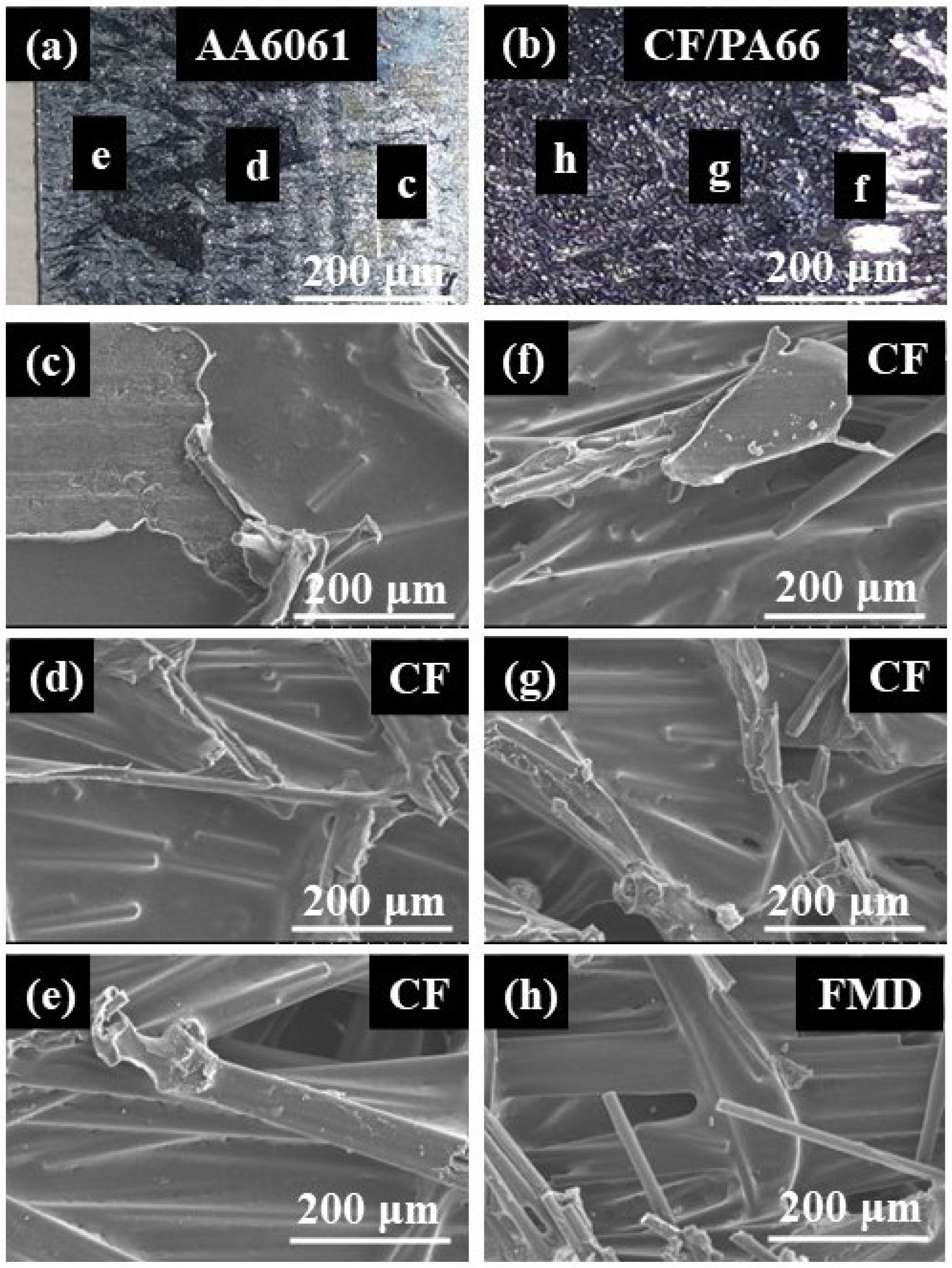 Materials 17 00329 g020