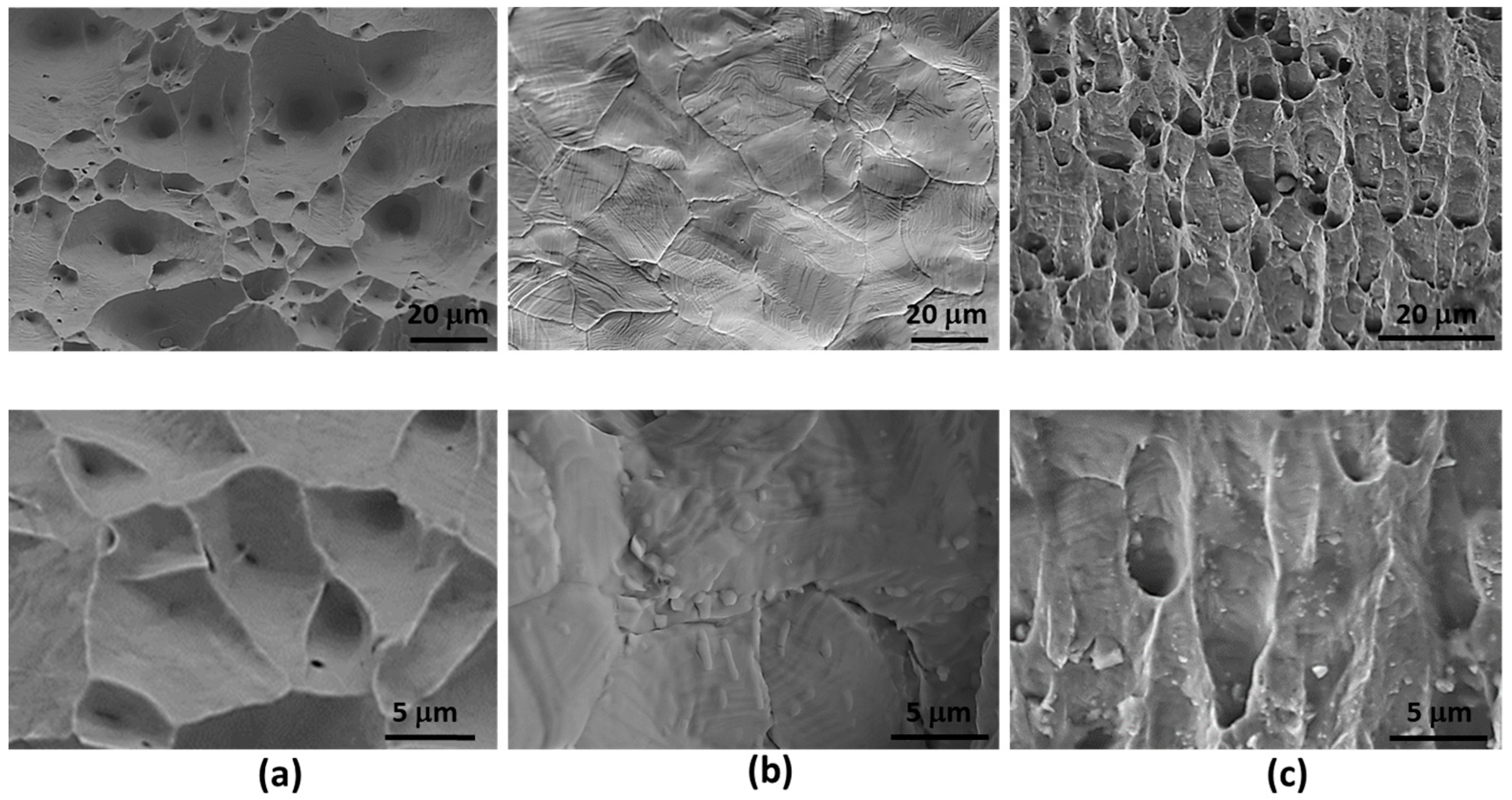 Materials 17 00350 g008