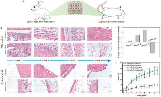 Rabbit Biomimetic multilayer scaffolds with prolonged retention of